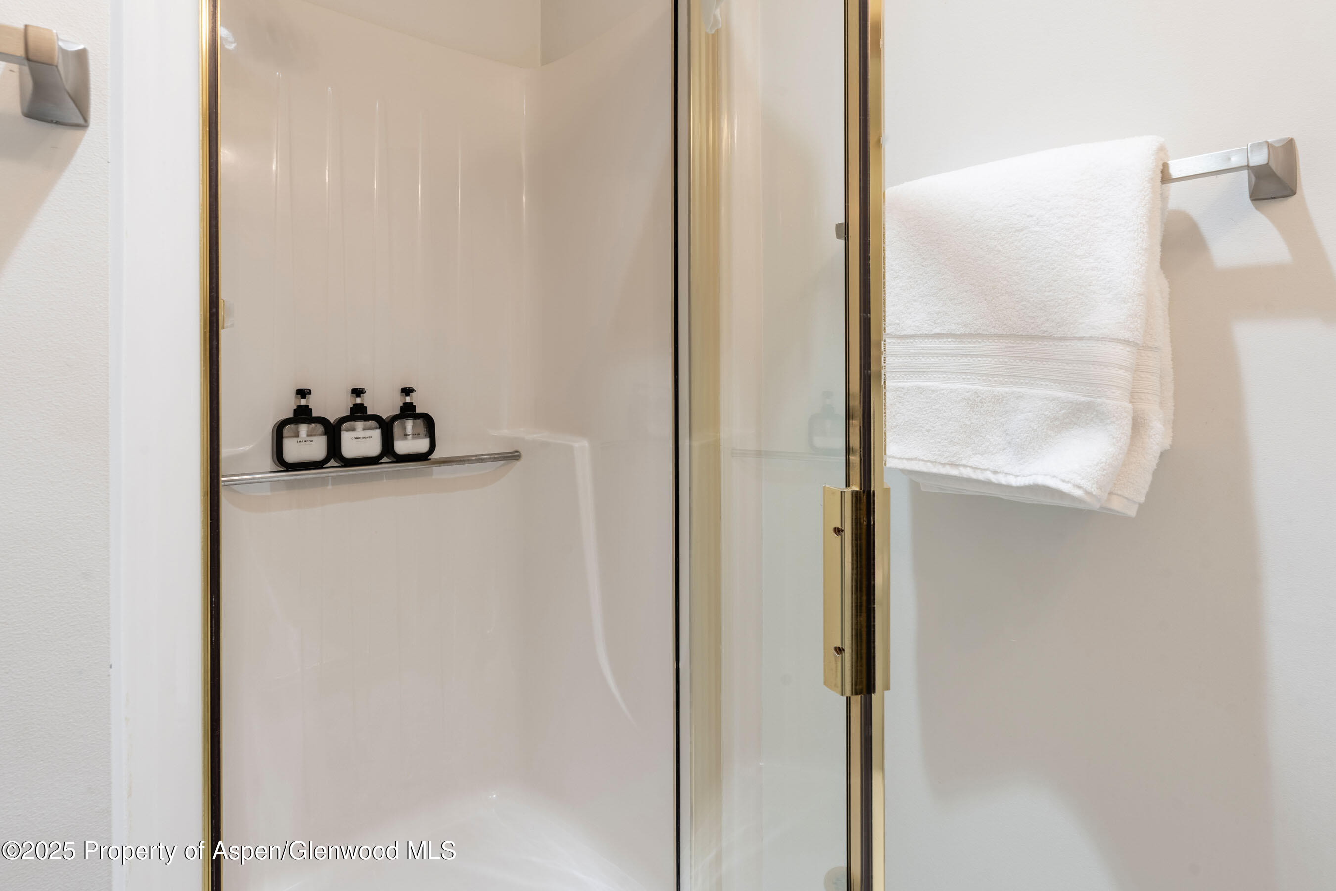 100 E Dean Street Aspen CO 81611