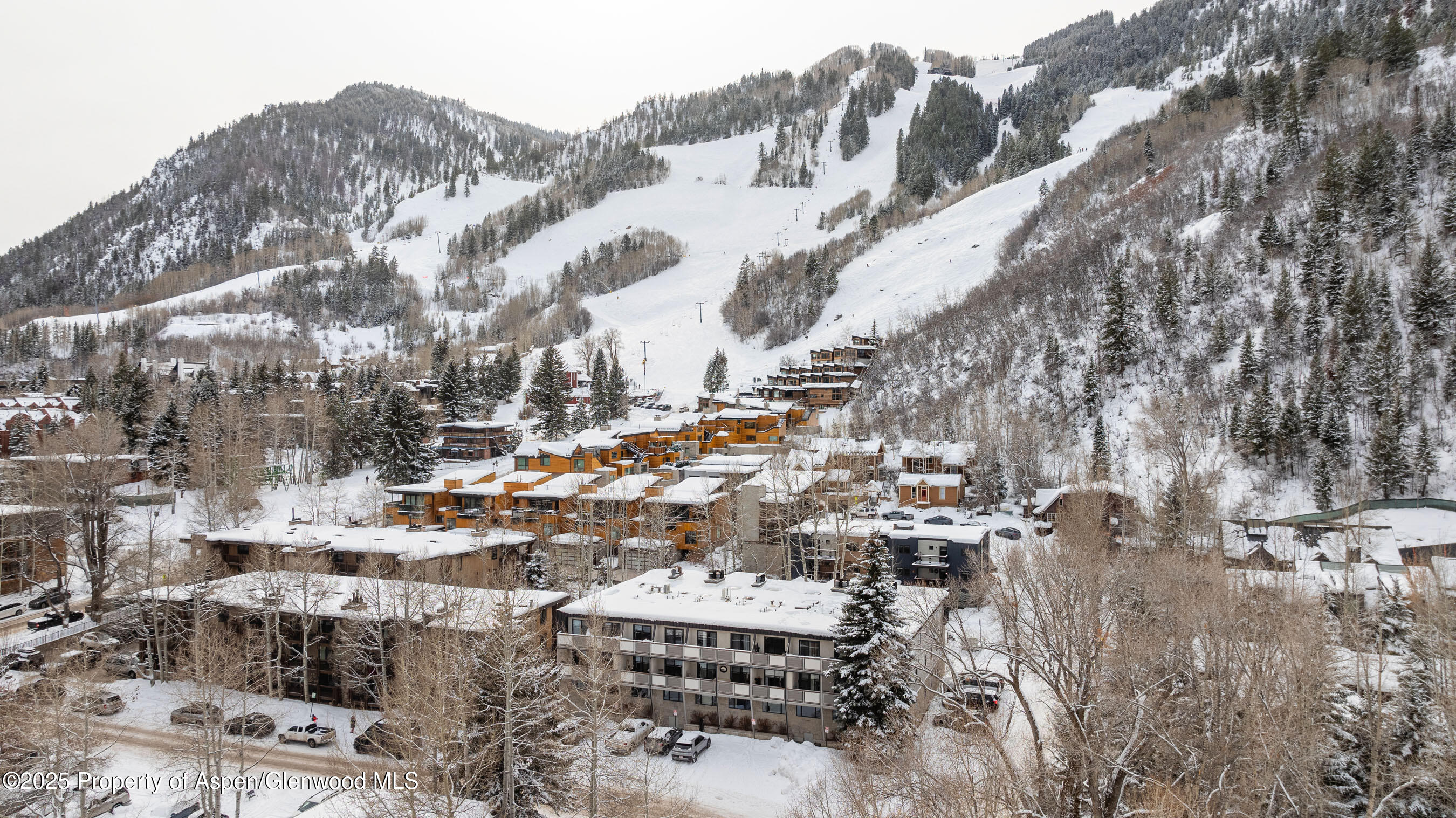 100 E Dean Street Aspen CO 81611