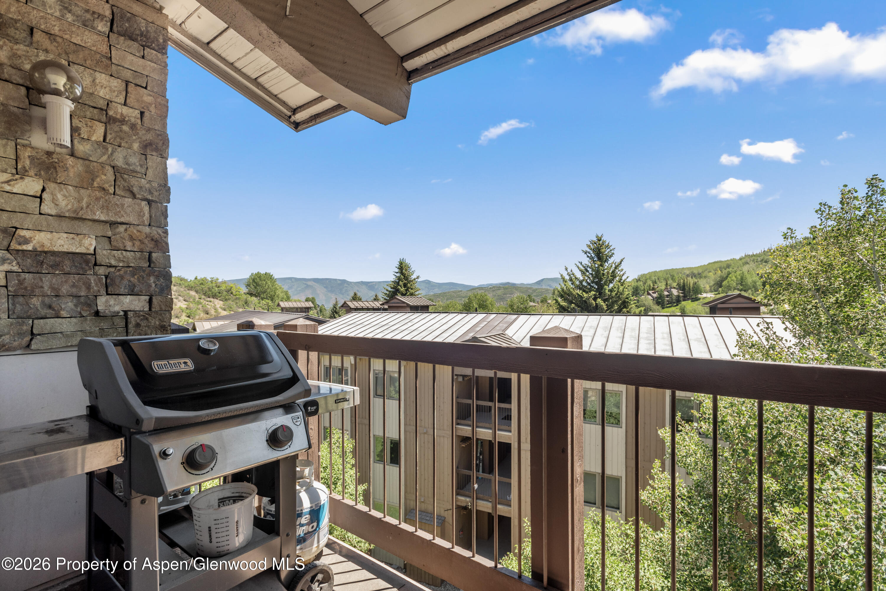 35 Upper Woodbridge Road Snowmass Village CO 81615