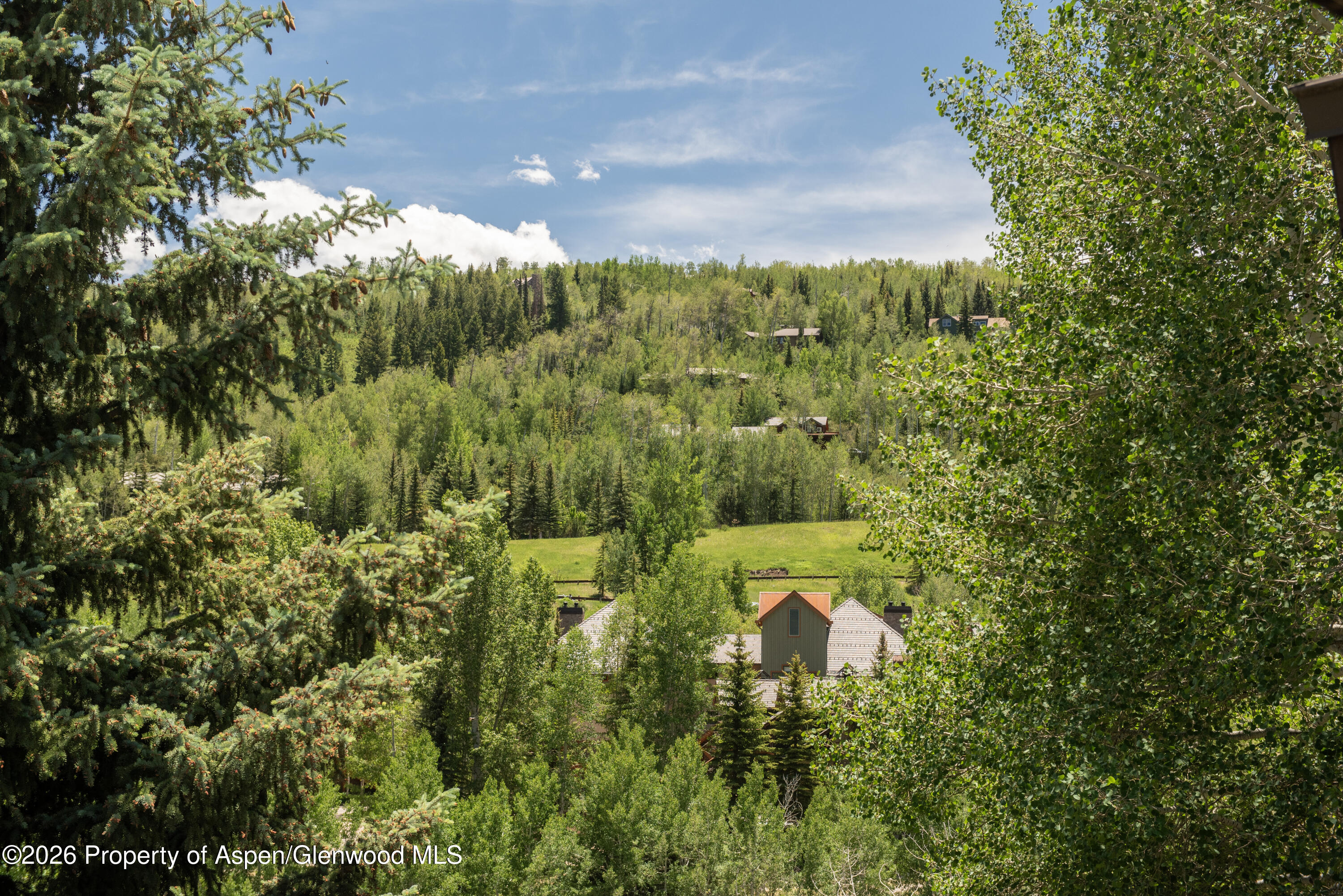 35 Upper Woodbridge Road Snowmass Village CO 81615