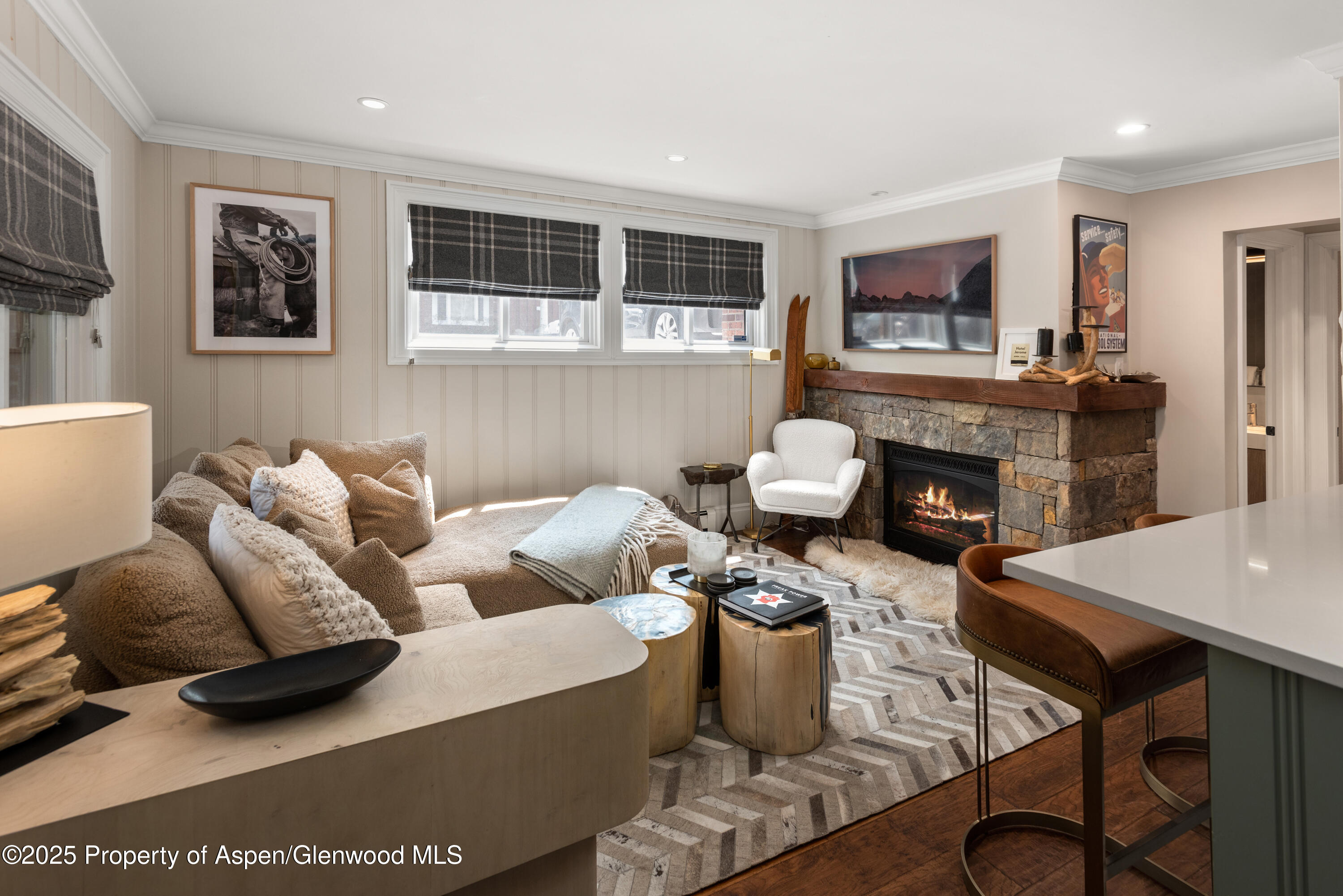 Aspen CO, 835 E Hyman Avenue, Unit Unit D