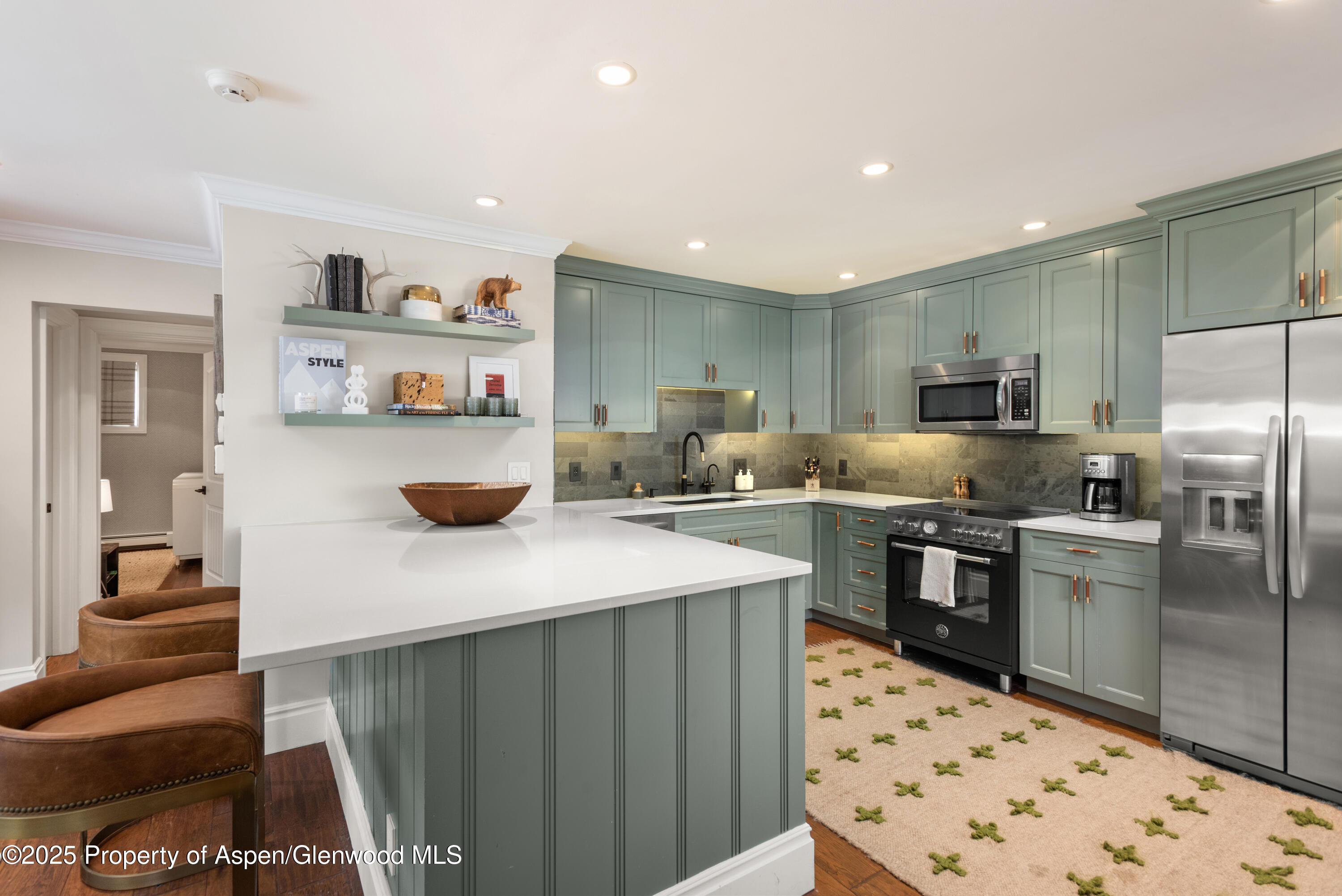 835 E Hyman Avenue Aspen CO 81611