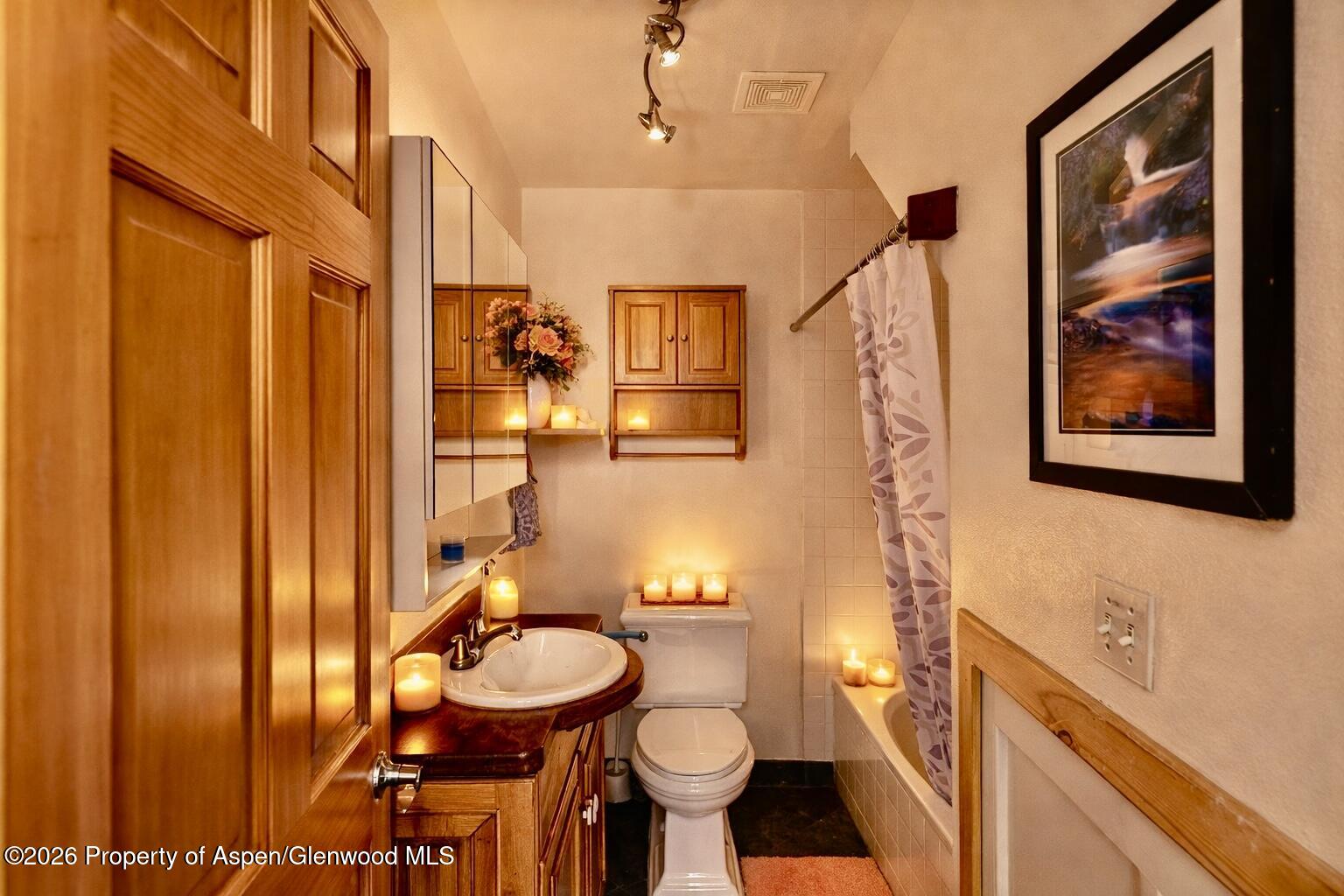 682 Alder Ridge Lane New Castle CO 81647