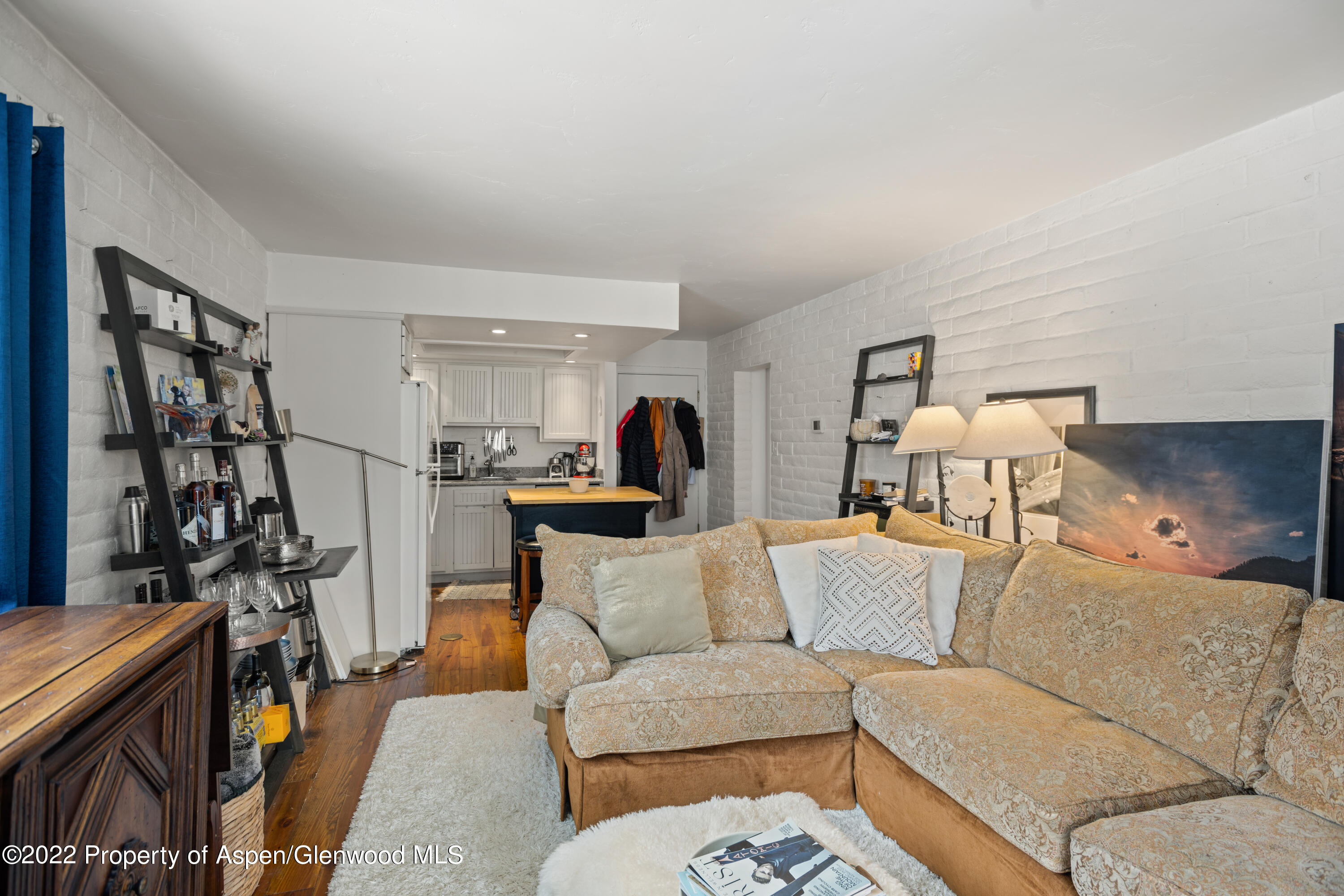 228 Vine Street Aspen CO 81611