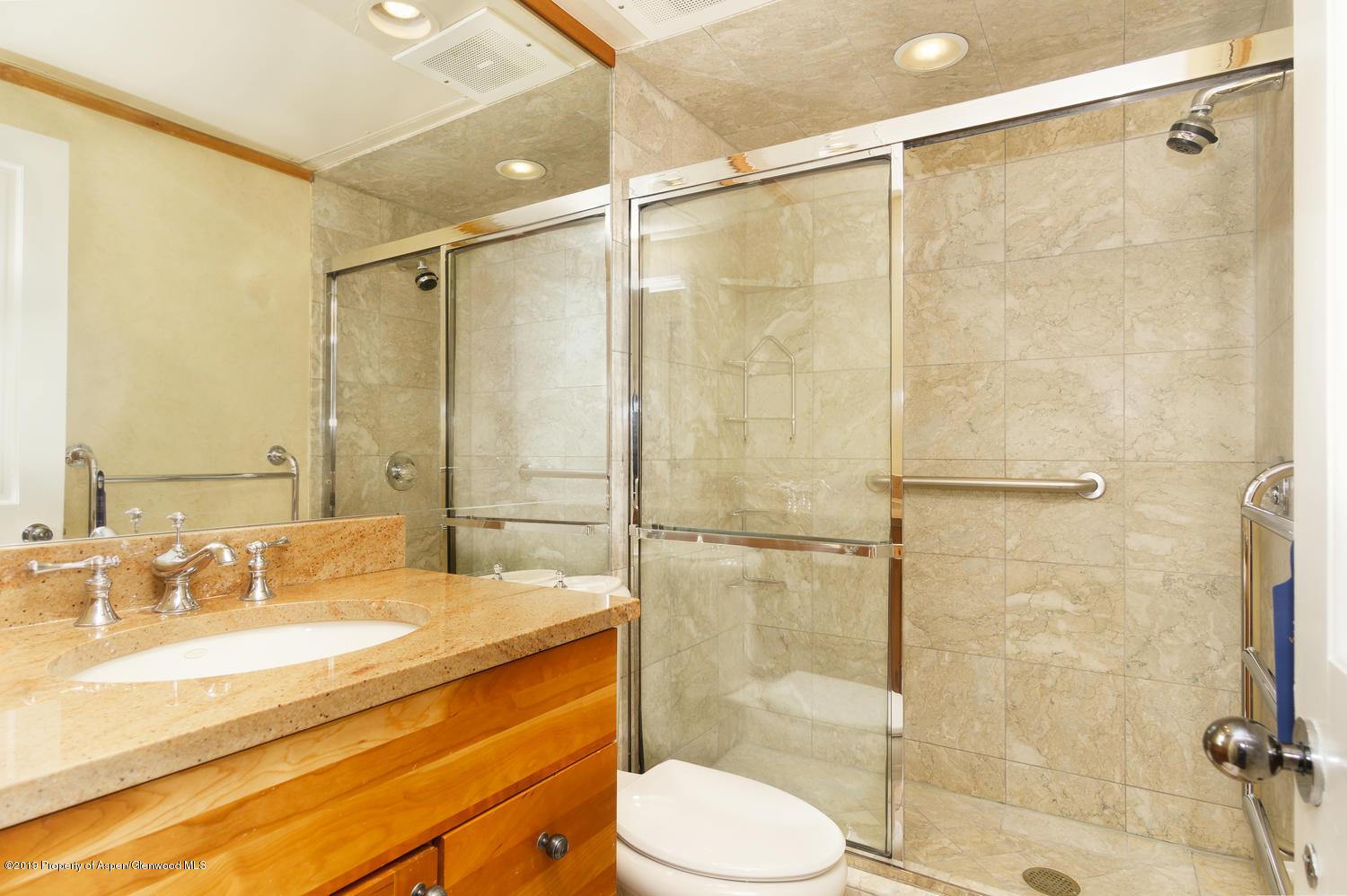 617 E Cooper Avenue Aspen CO 81611