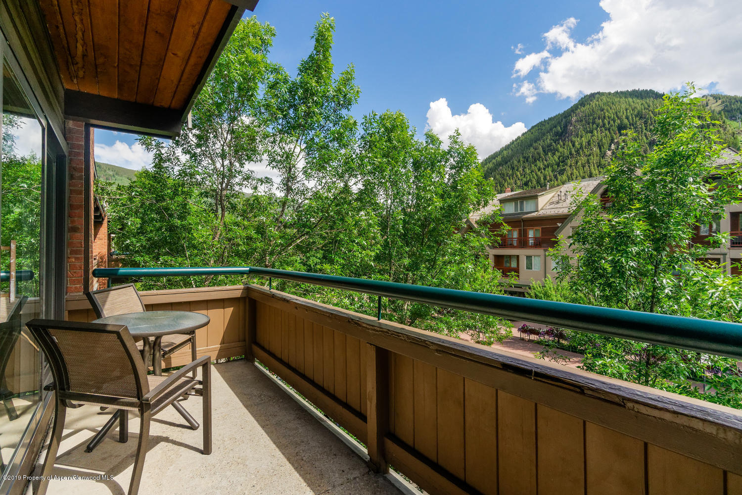 617 E Cooper Avenue Aspen CO 81611