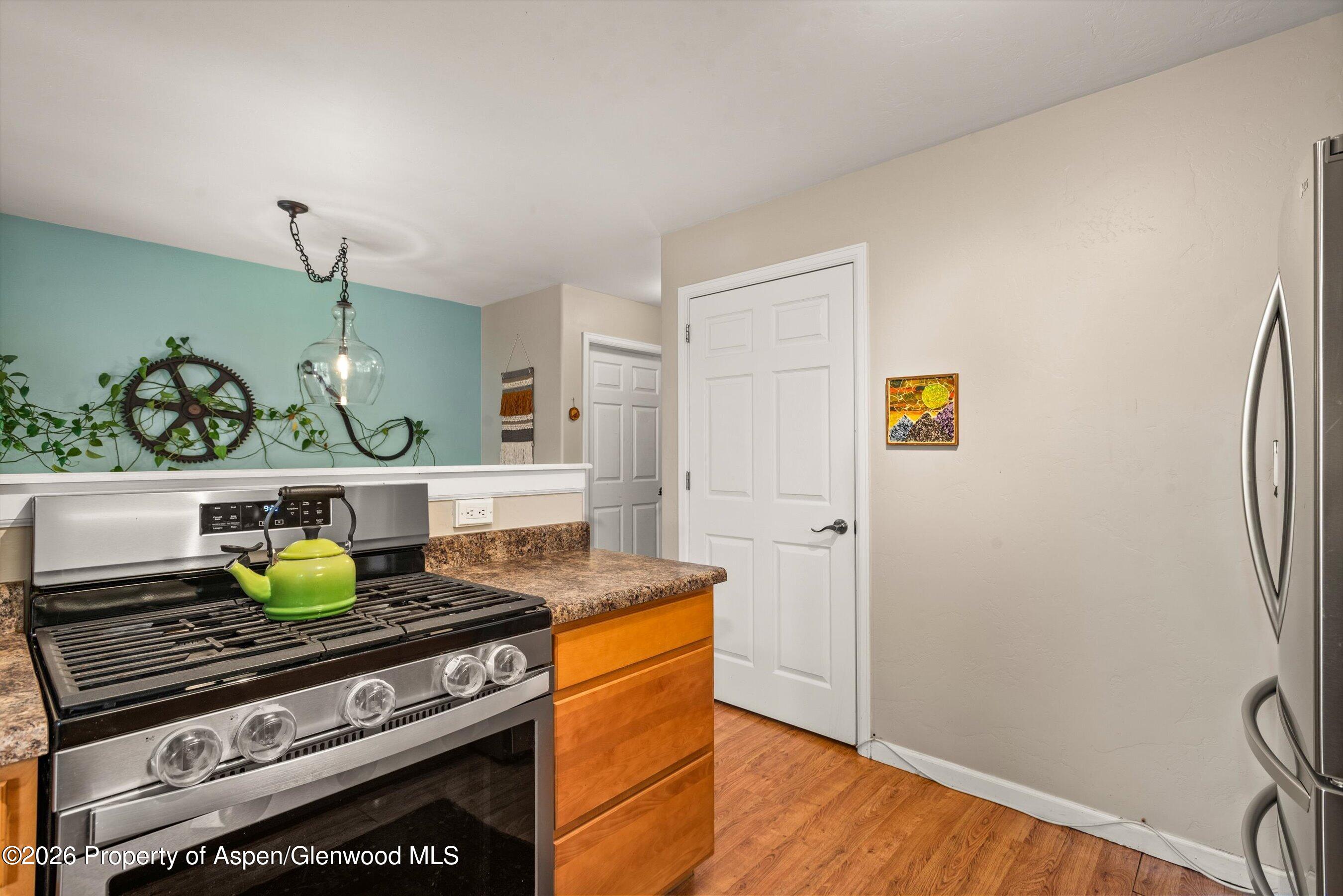 491 N 8th Street Carbondale CO 81623