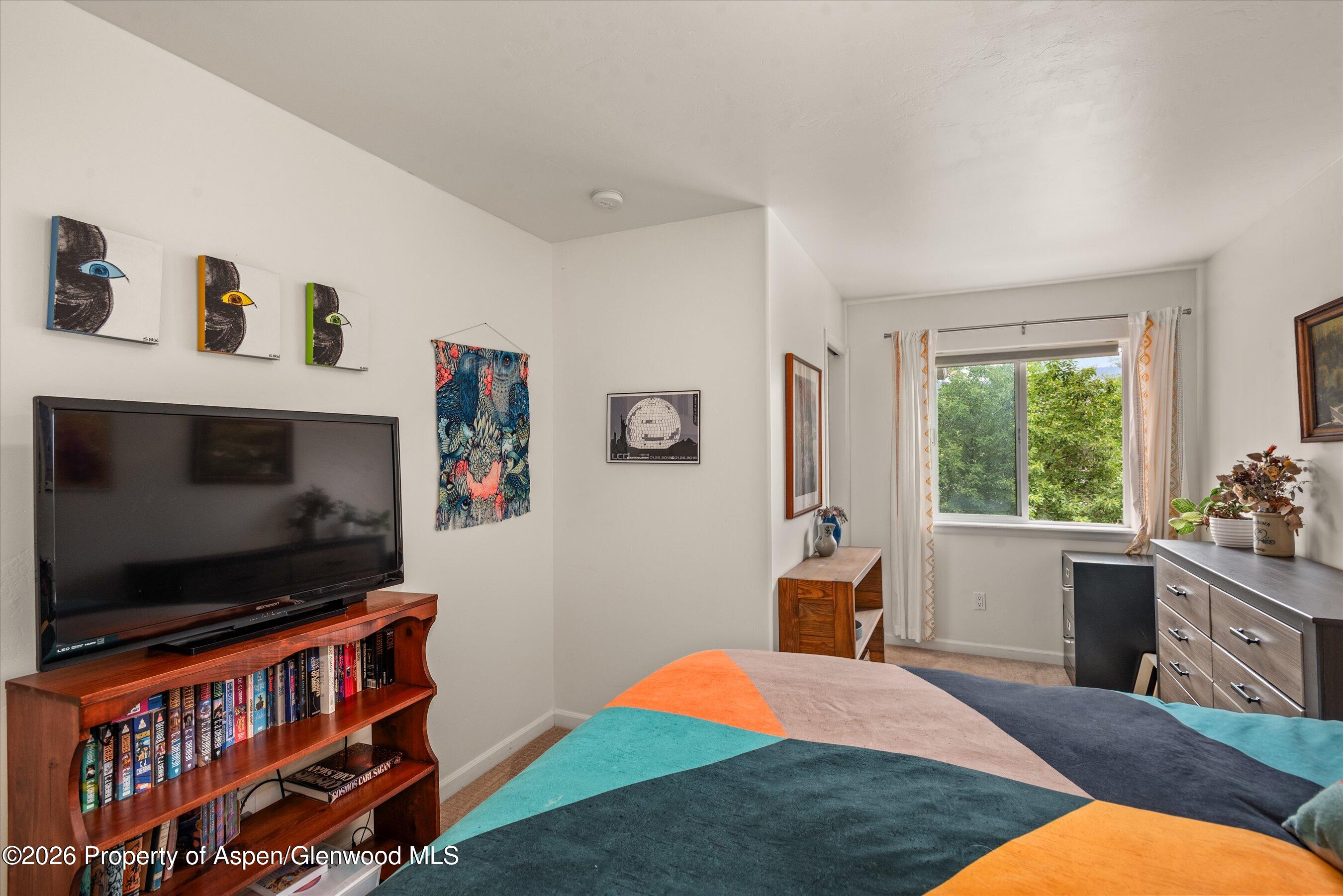 491 N 8th Street Carbondale CO 81623