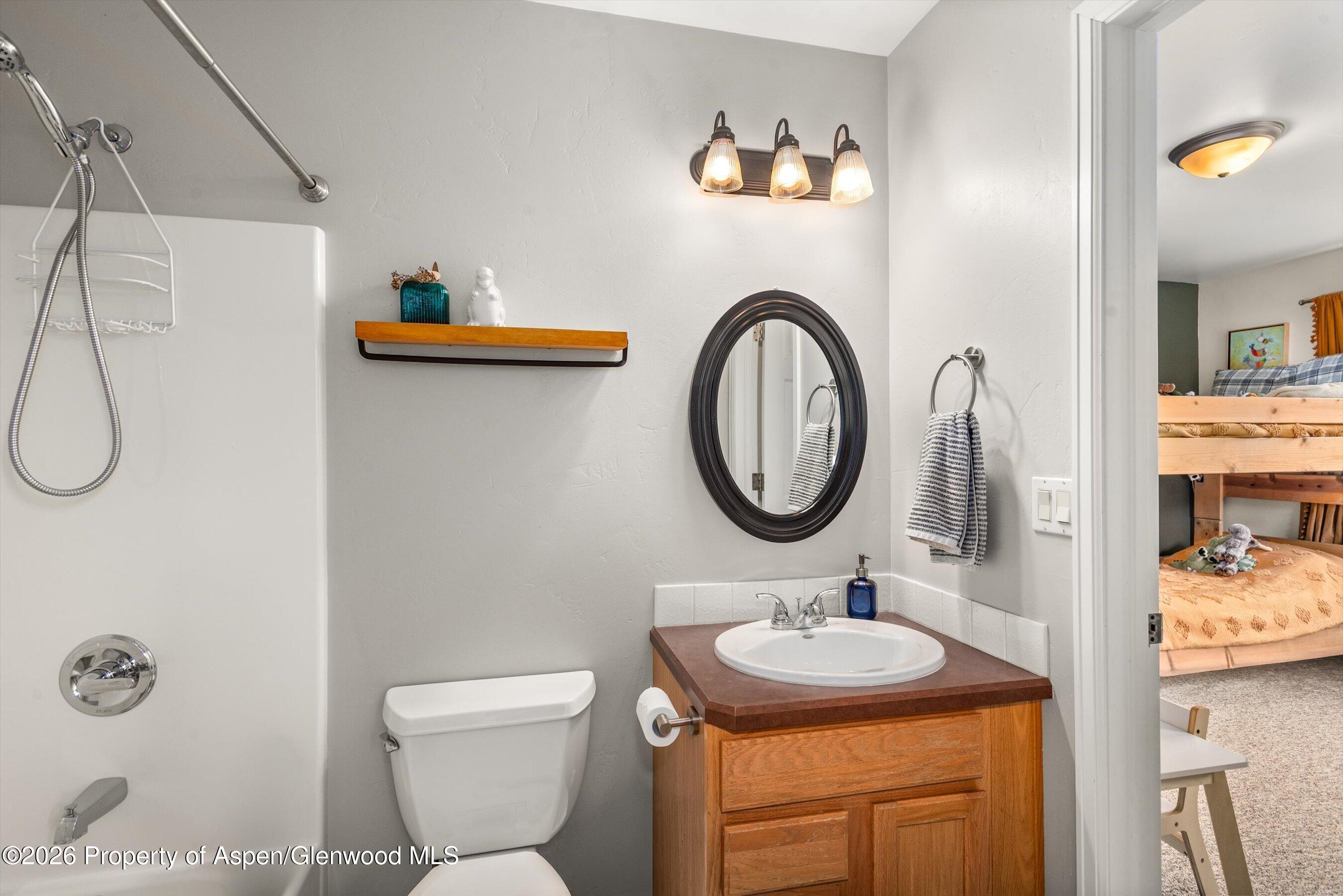 491 N 8th Street Carbondale CO 81623