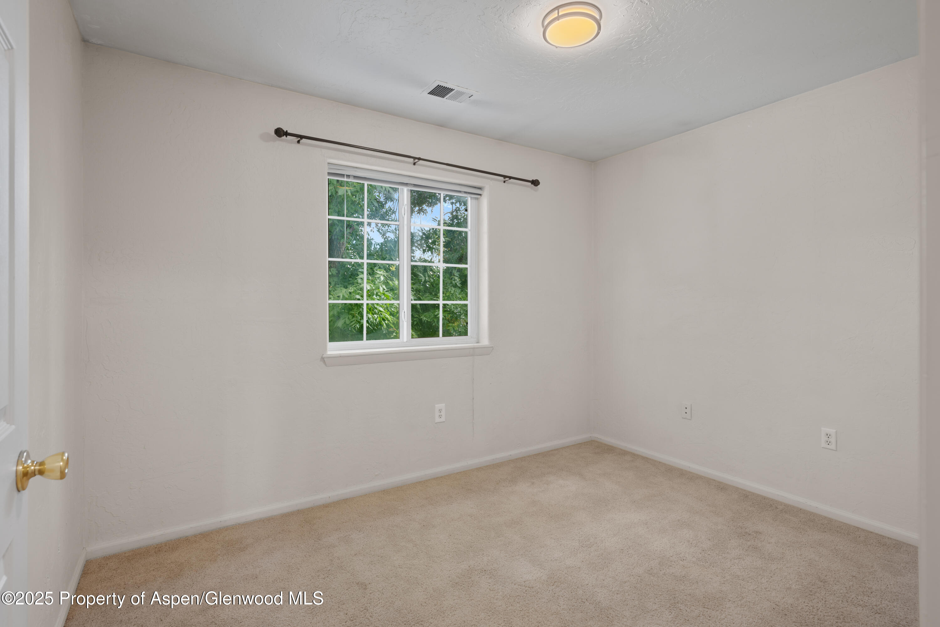 1227 Domelby Court Silt CO 81652