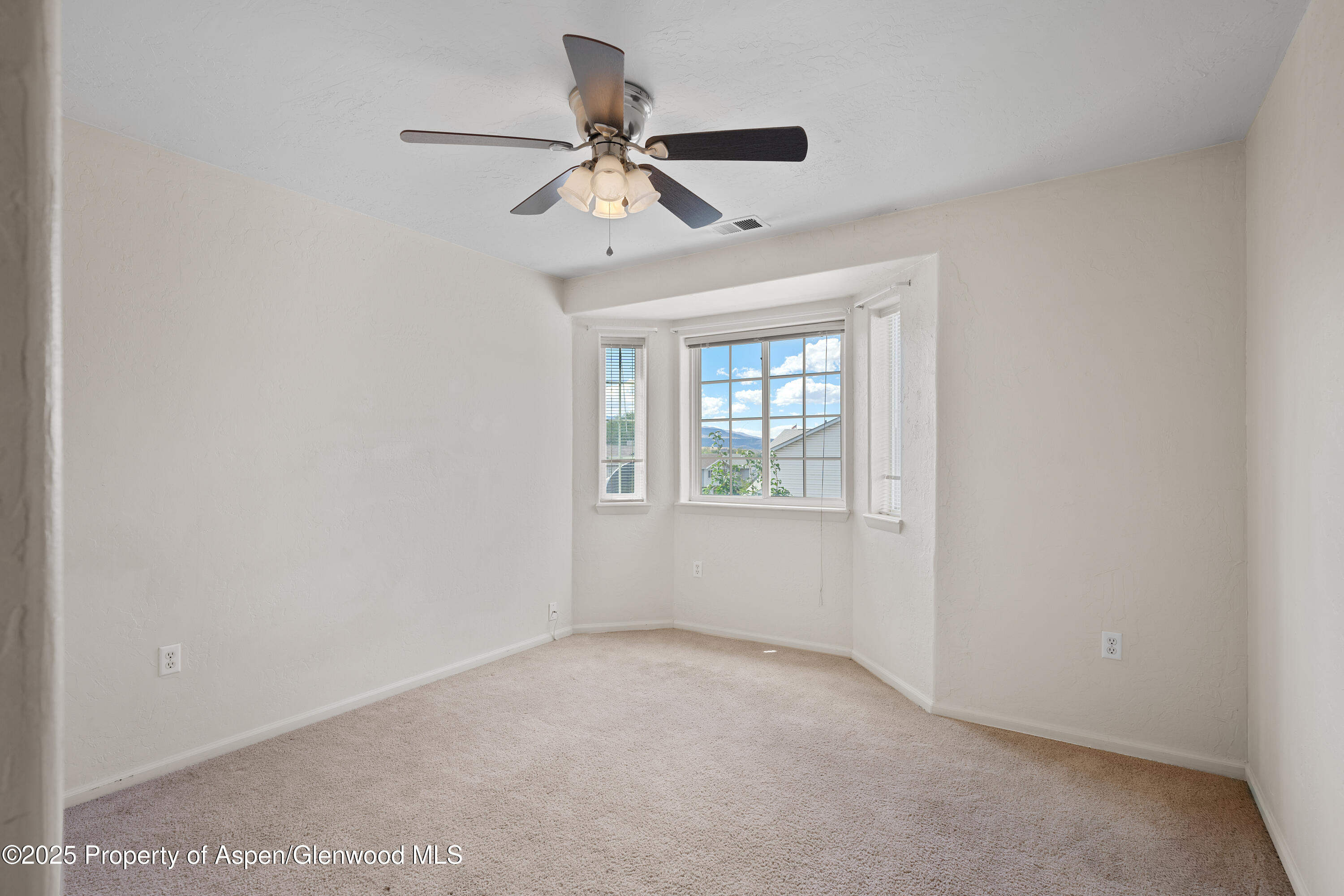 1227 Domelby Court Silt CO 81652