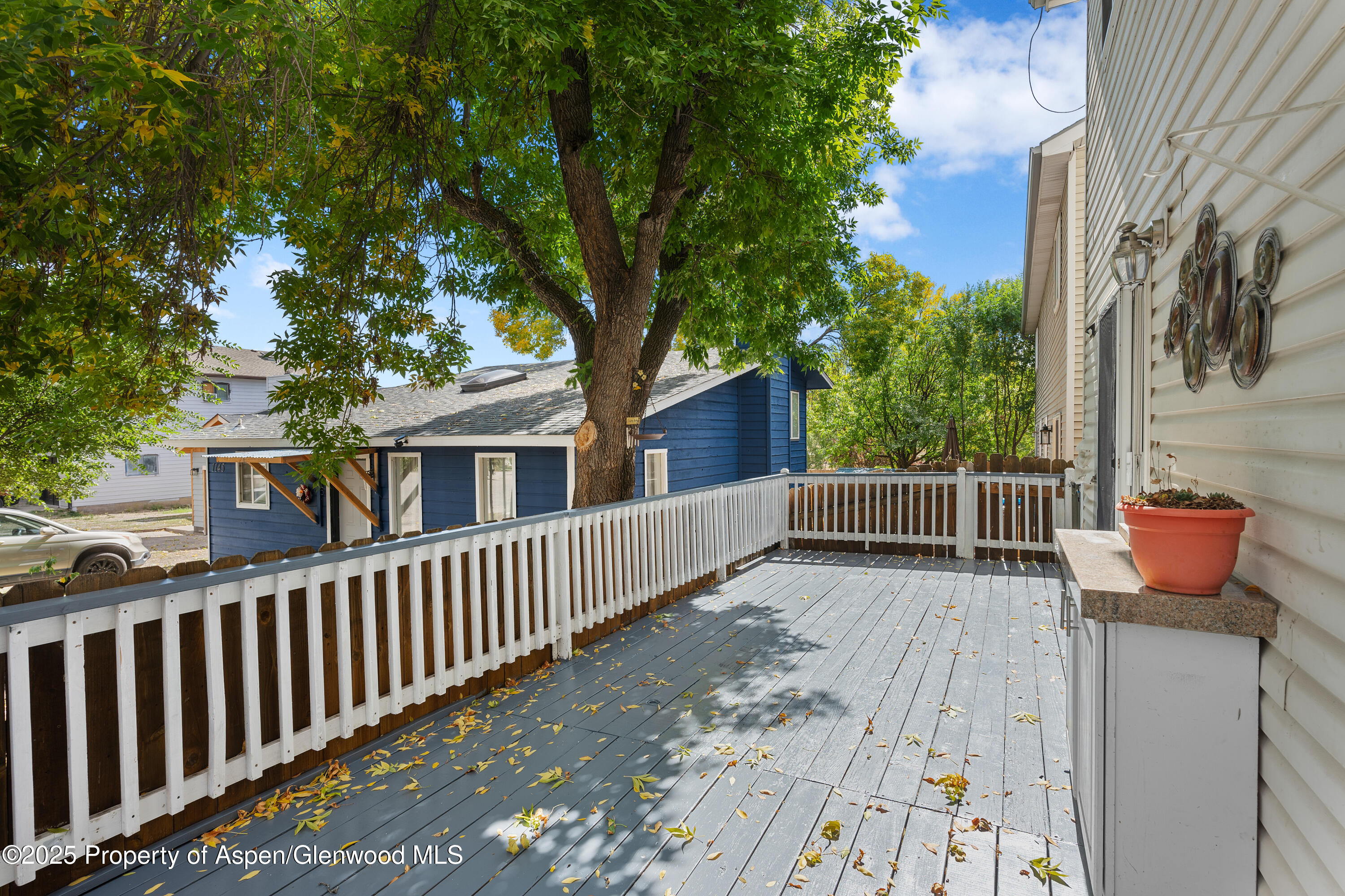 1227 Domelby Court Silt CO 81652