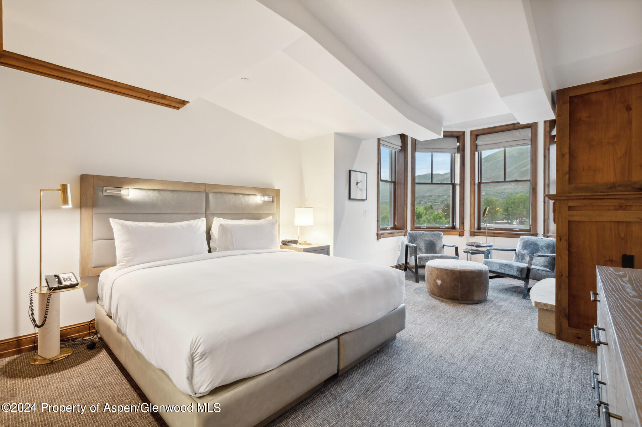 415 E Dean Street, Unit 30, Week 9 Aspen CO 81611