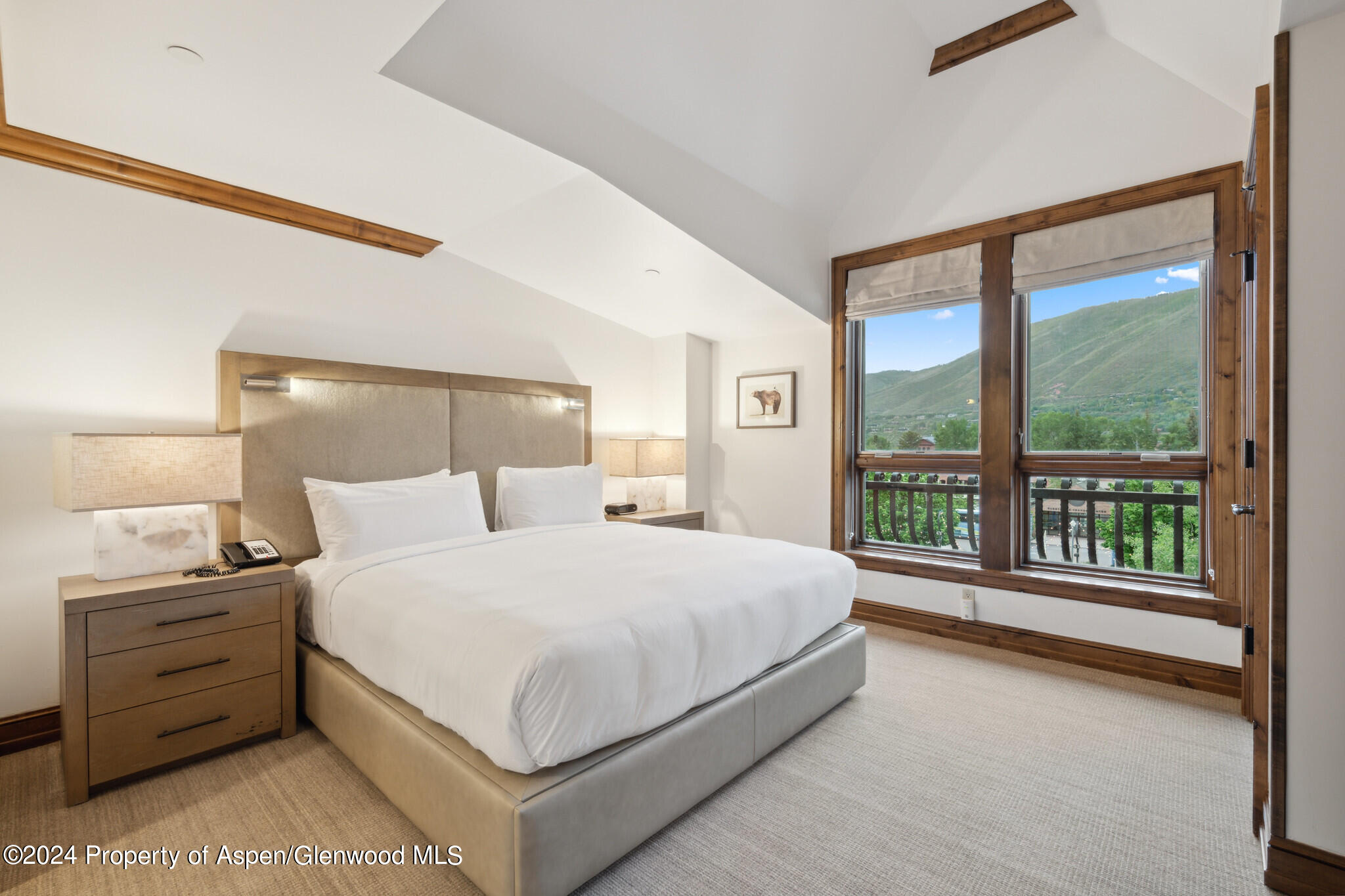 415 E Dean Street, Unit 30, Week 9 Aspen CO 81611