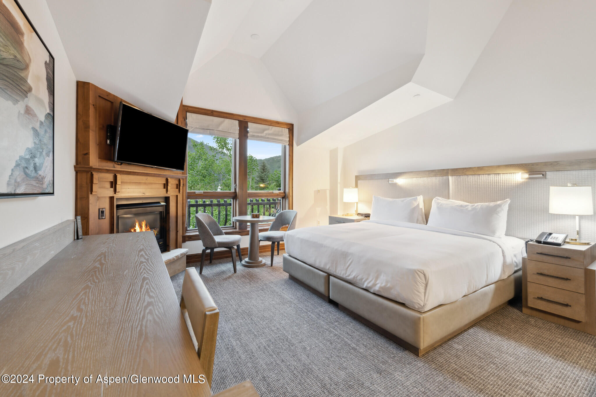 415 E Dean Street, Unit 30, Week 9 Aspen CO 81611