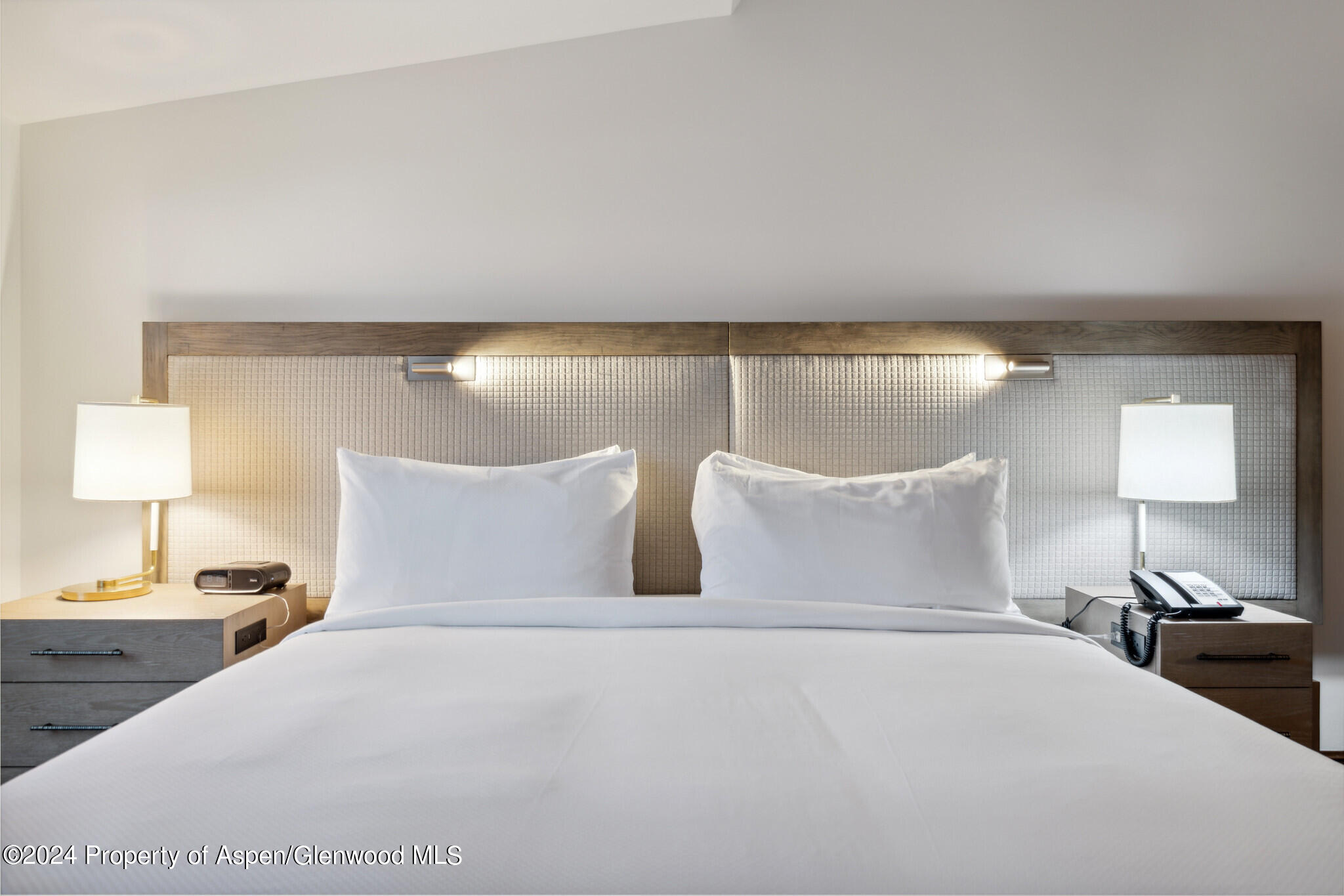 415 E Dean Street, Unit 30, Week 9 Aspen CO 81611