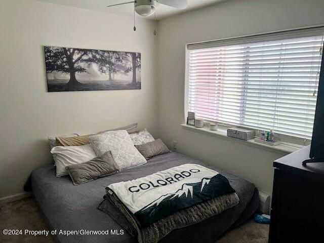 560 River View Drive New Castle CO 81647