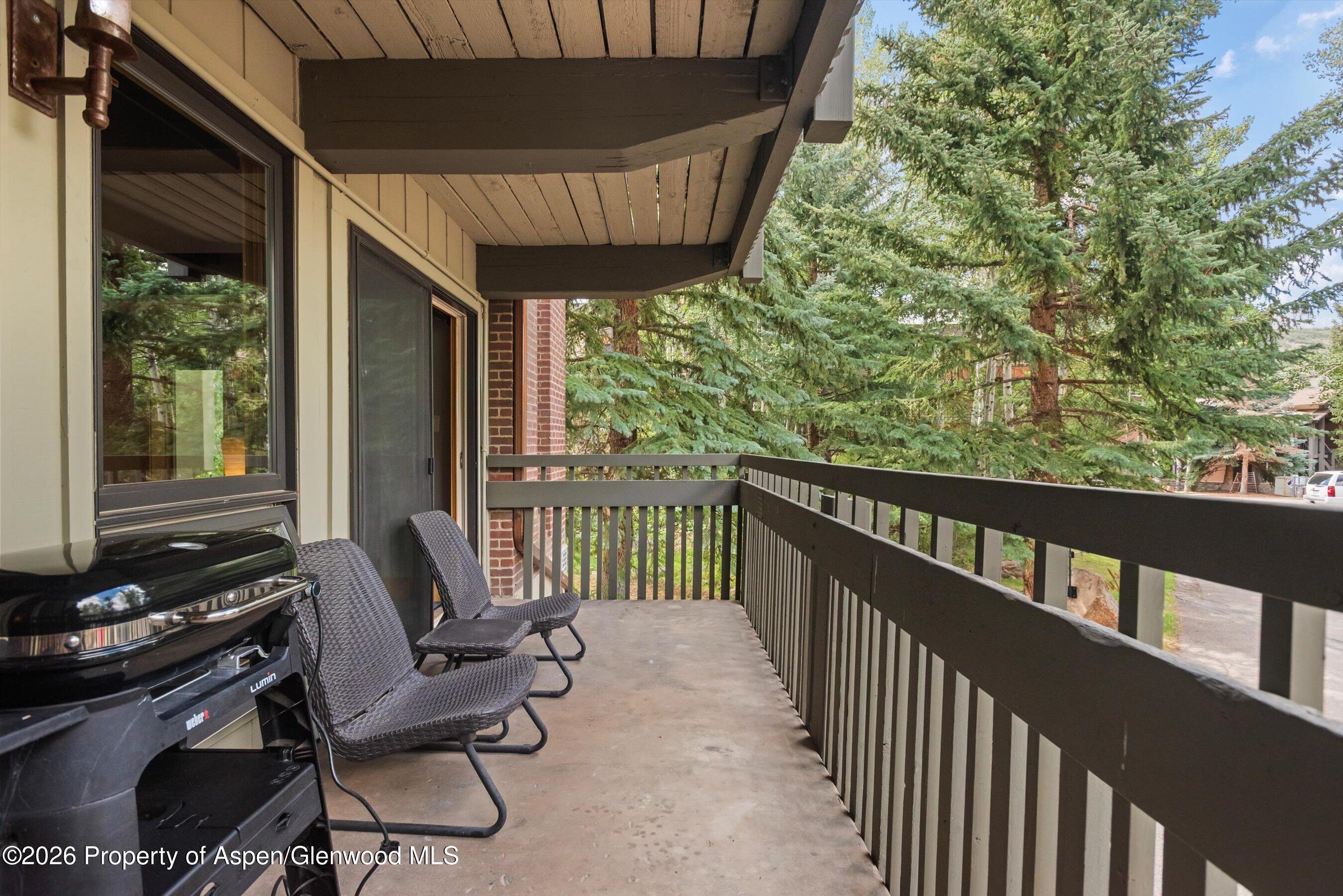 70 Gallun Lane Snowmass Village CO 81615
