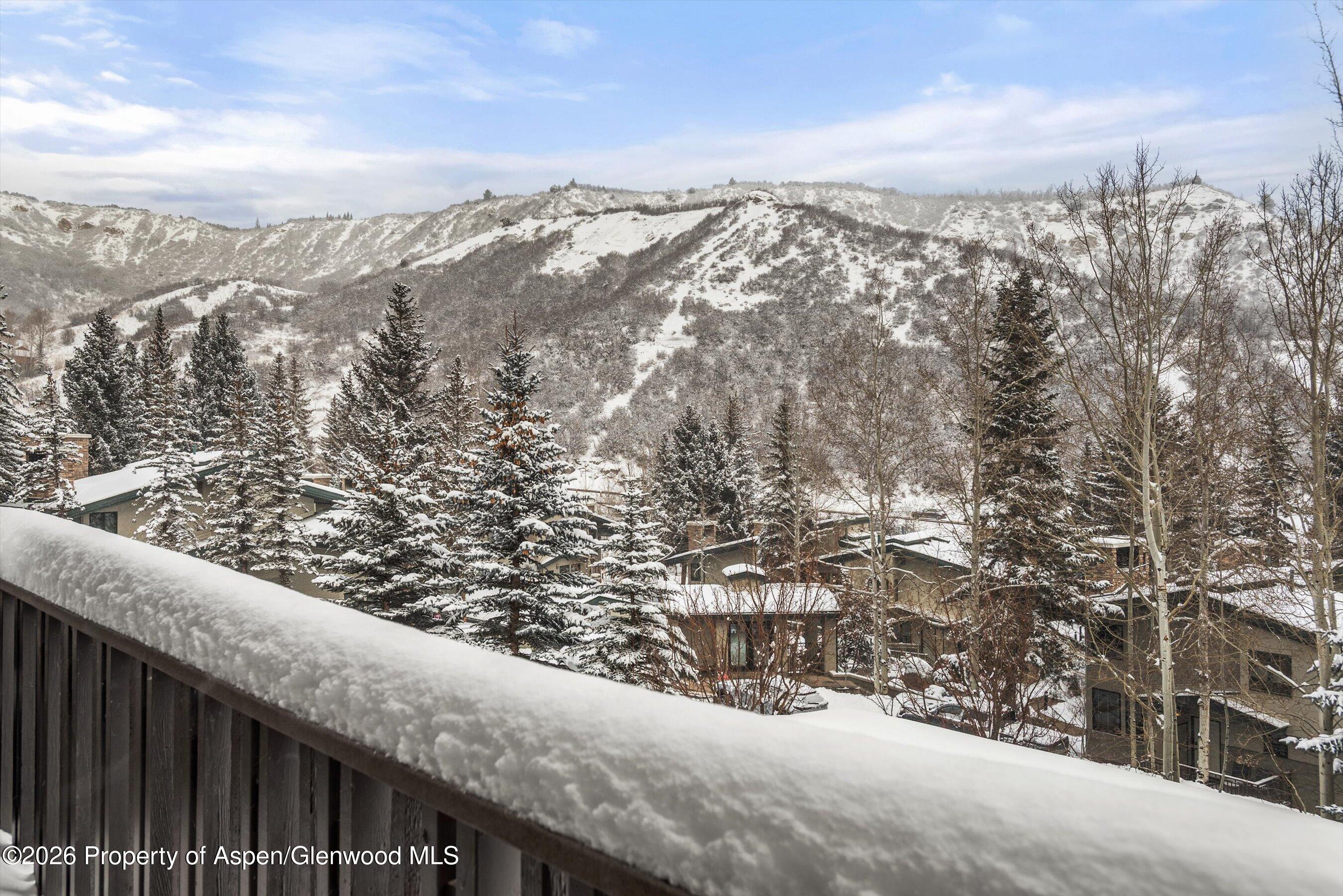 150 Carriage Way Snowmass Village CO 81615