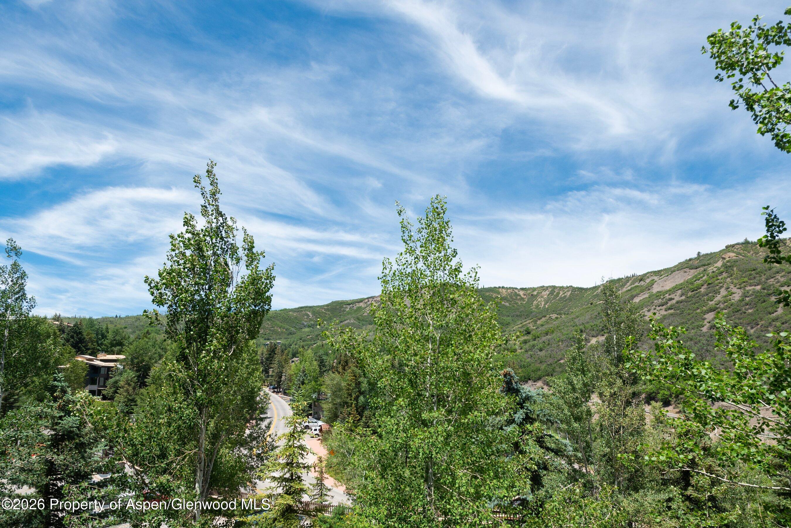 90 Carriage Way Snowmass Village CO 81615