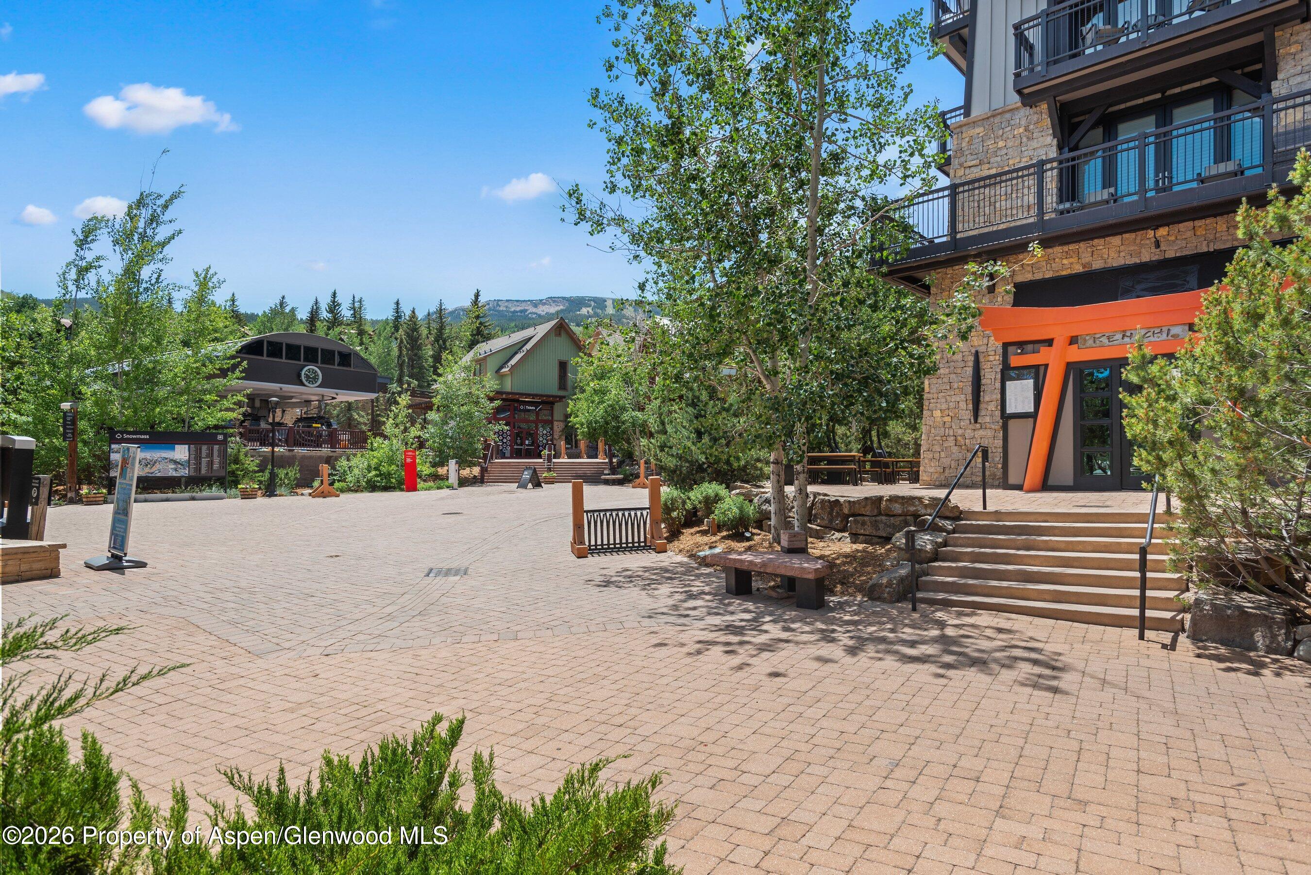 90 Carriage Way Snowmass Village CO 81615