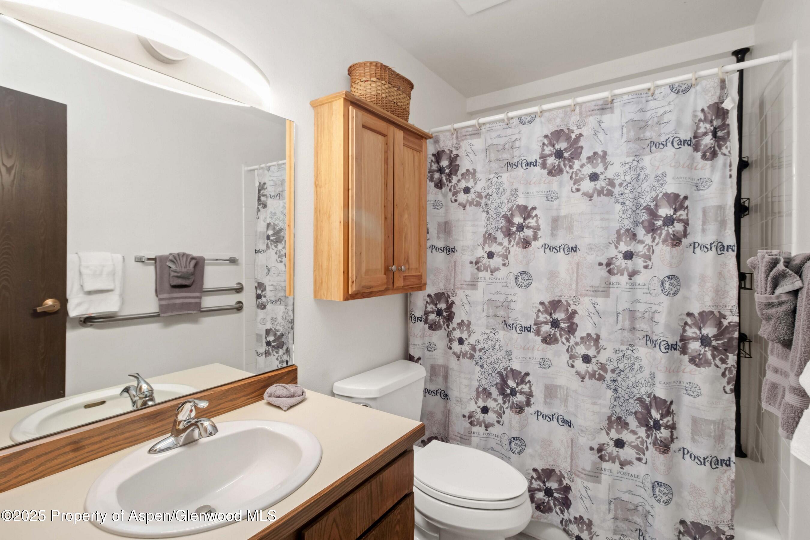 2505 Cisar Court Glenwood Springs CO 81601