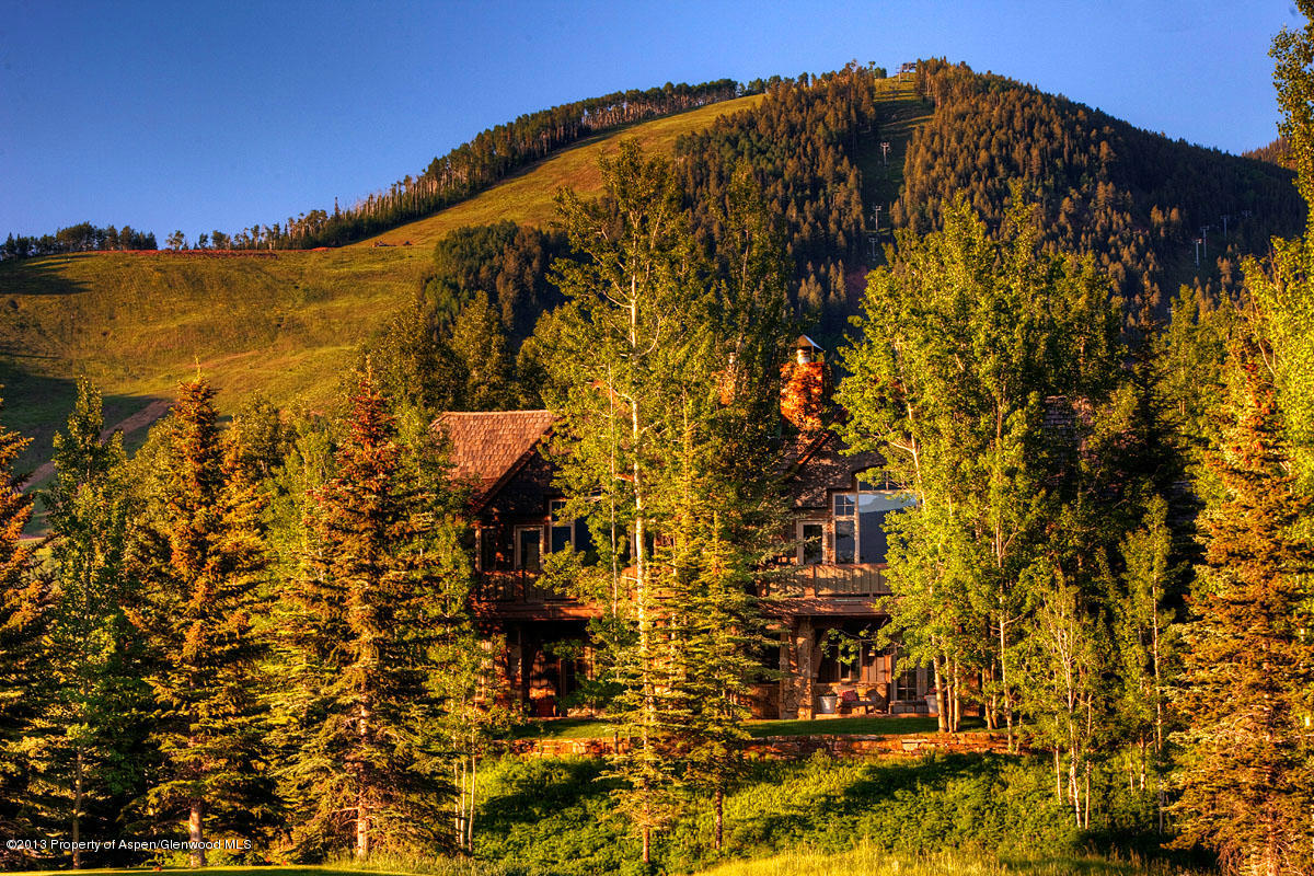 713 Oregon Trail Aspen CO 81611