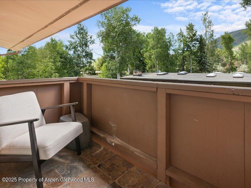 326 Midland Avenue Aspen CO 81611