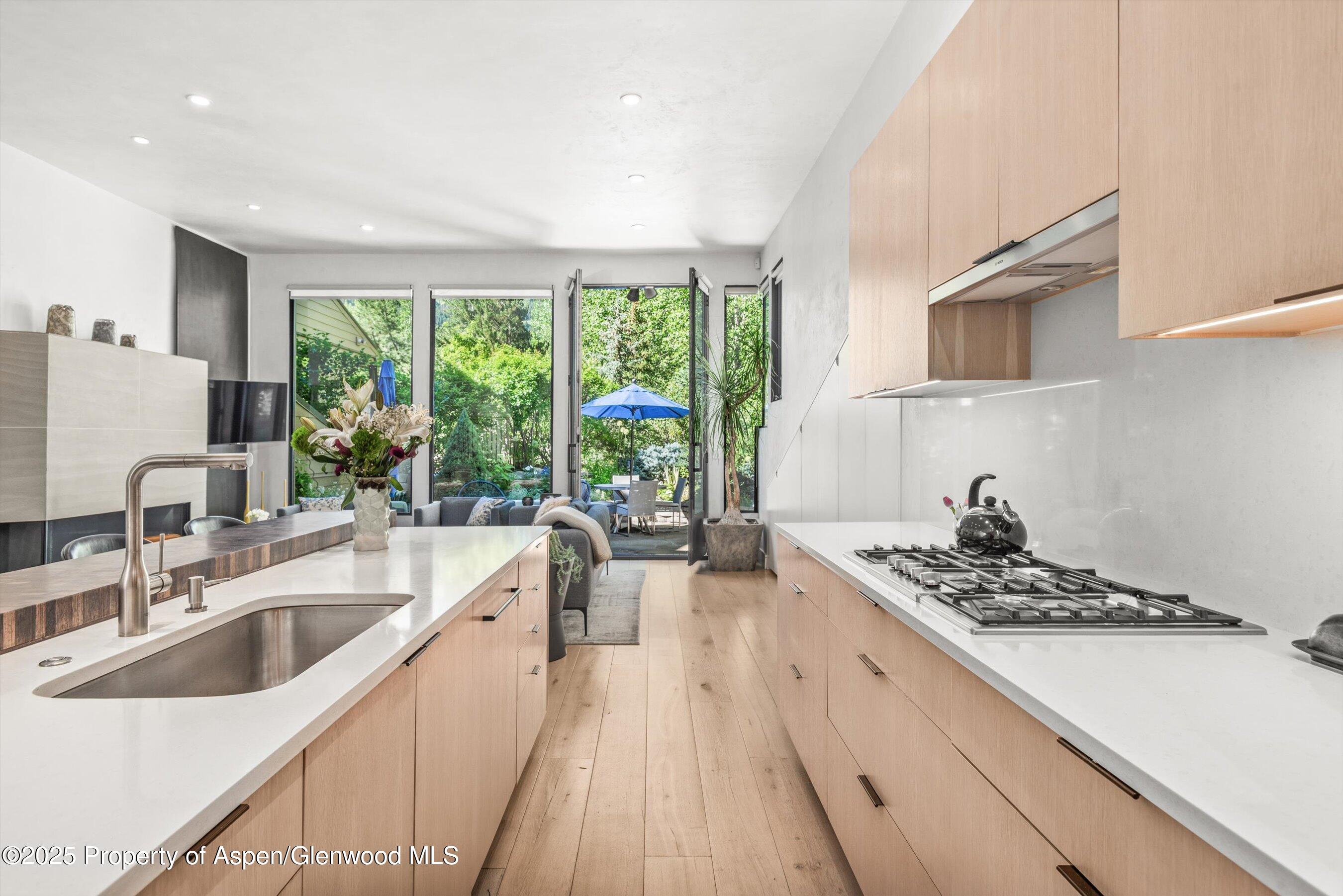 155 Lone Pine Road Aspen CO 81611