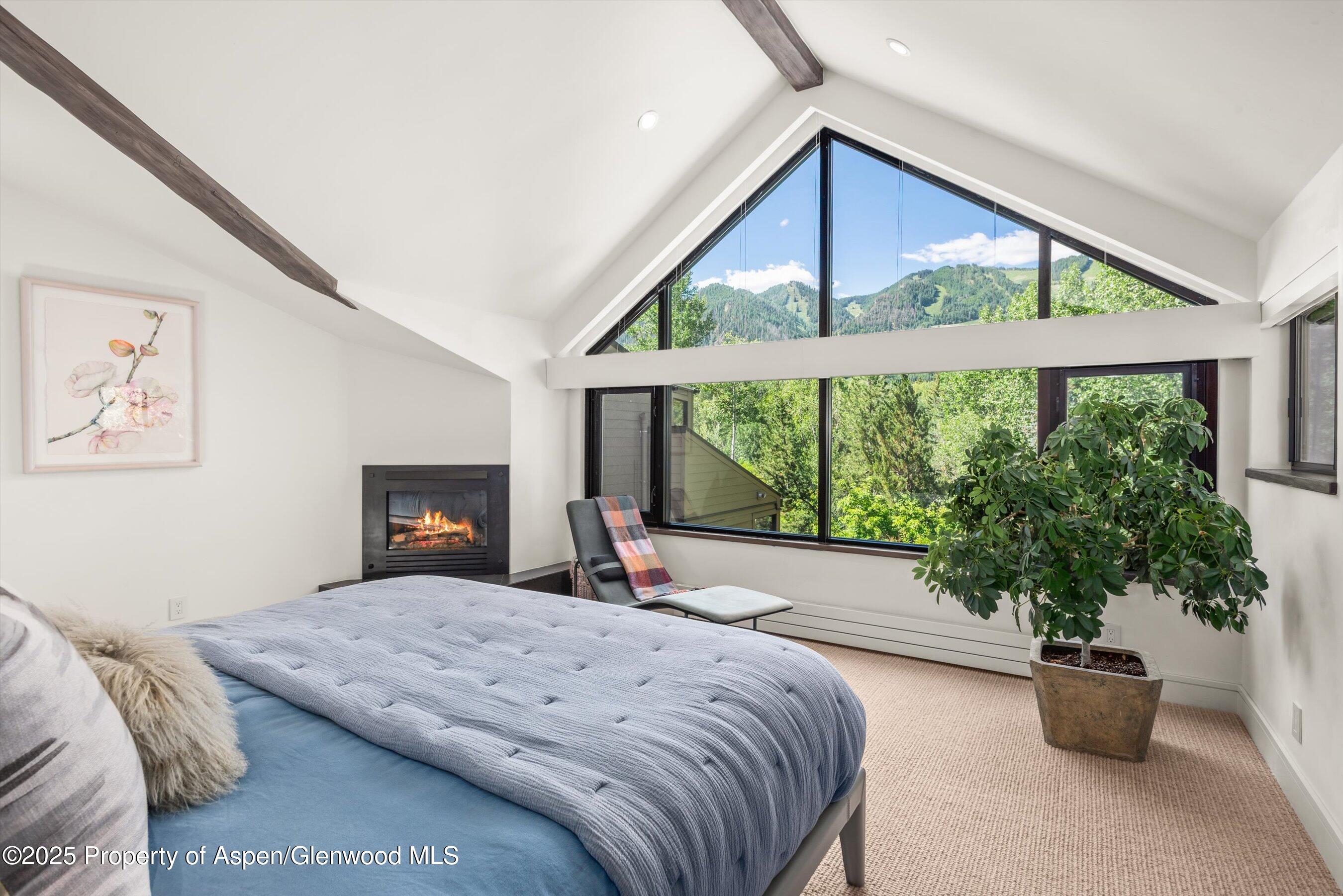 155 Lone Pine Road Aspen CO 81611