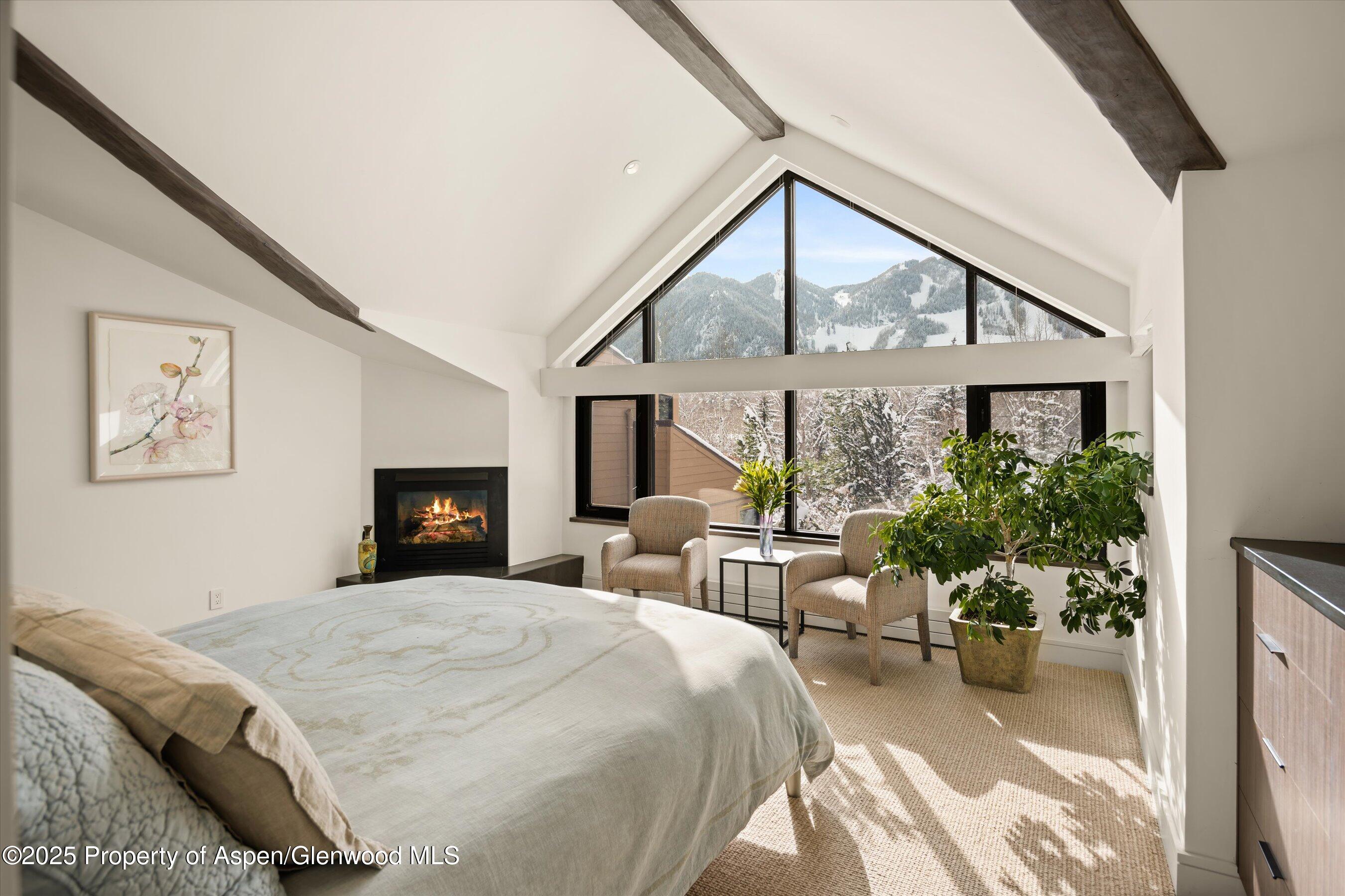 155 Lone Pine Road Aspen CO 81611