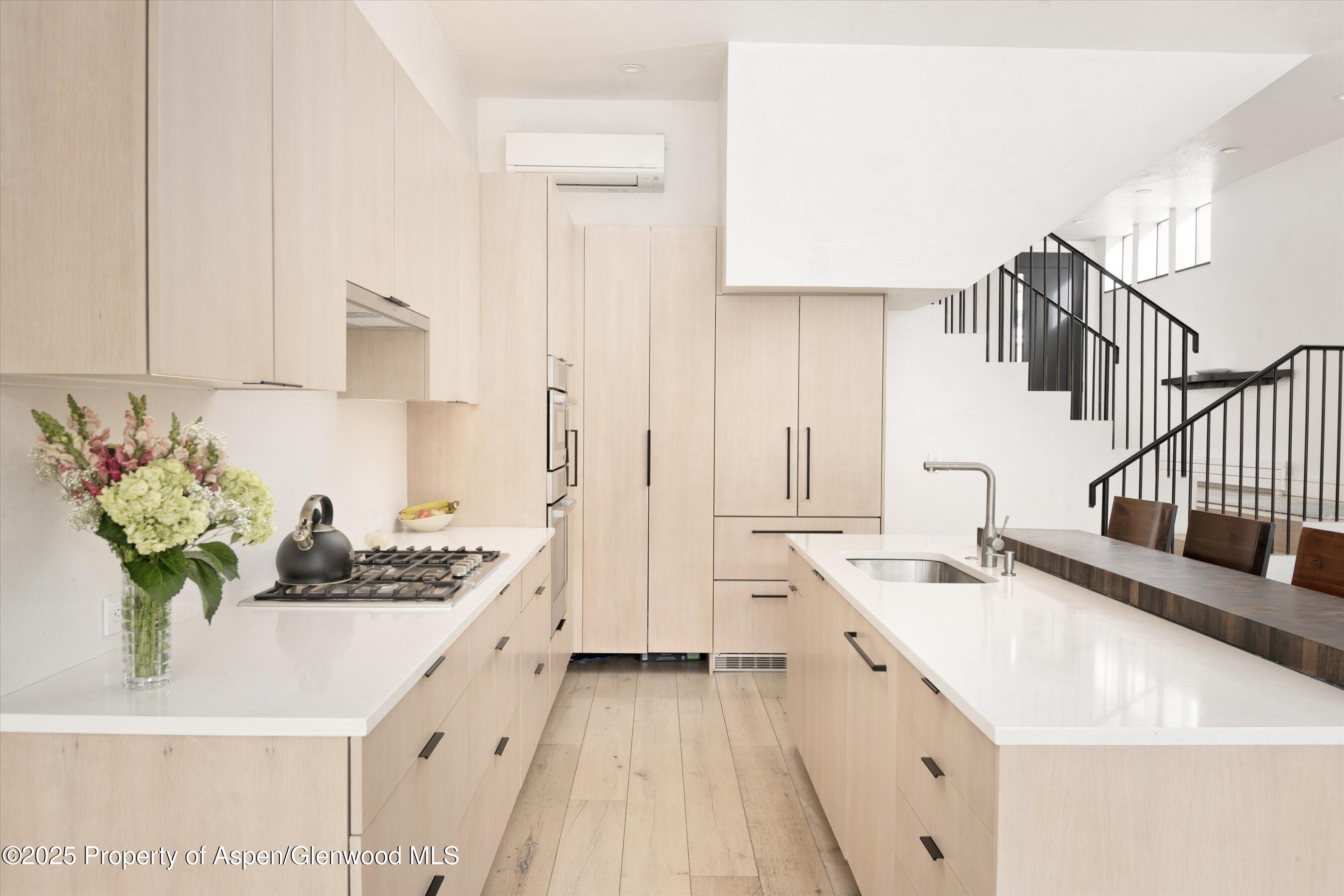 155 Lone Pine Road Aspen CO 81611