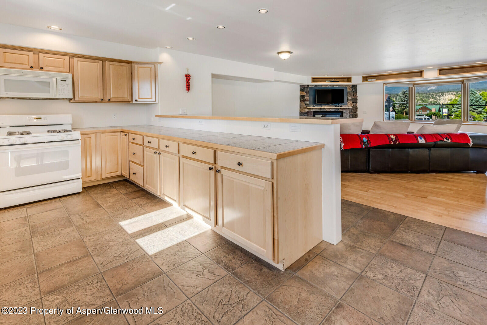 62 N 8th Street Carbondale CO 81623