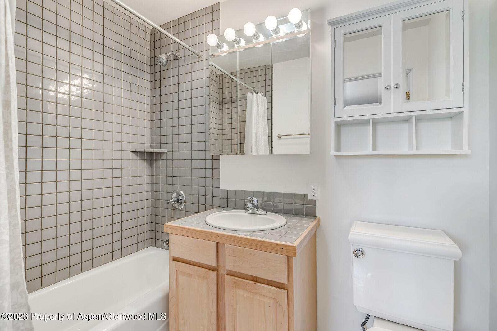 62 N 8th Street Carbondale CO 81623
