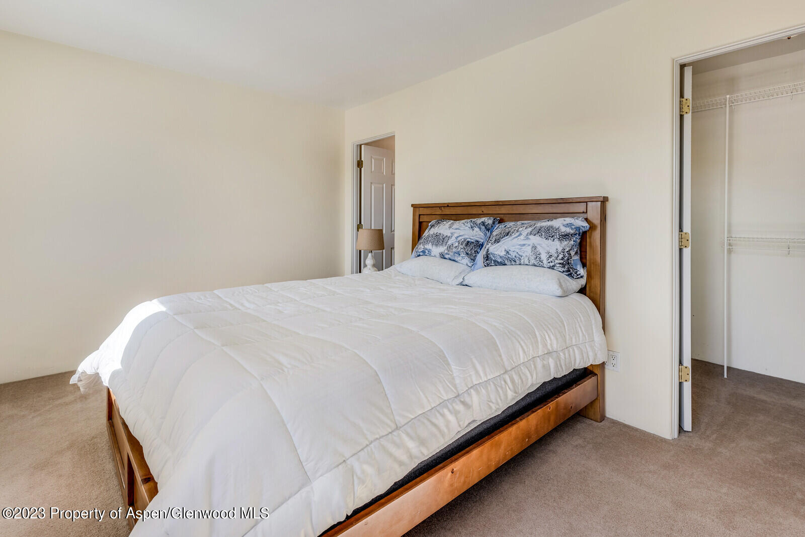 62 N 8th Street Carbondale CO 81623