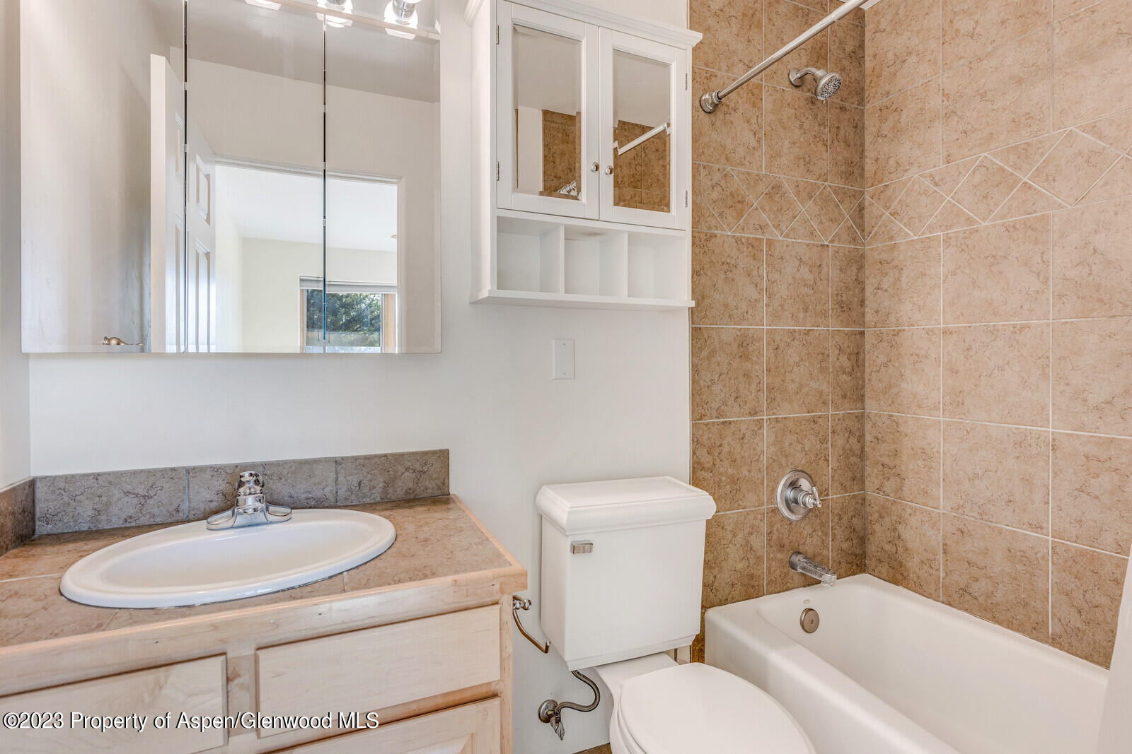 62 N 8th Street Carbondale CO 81623