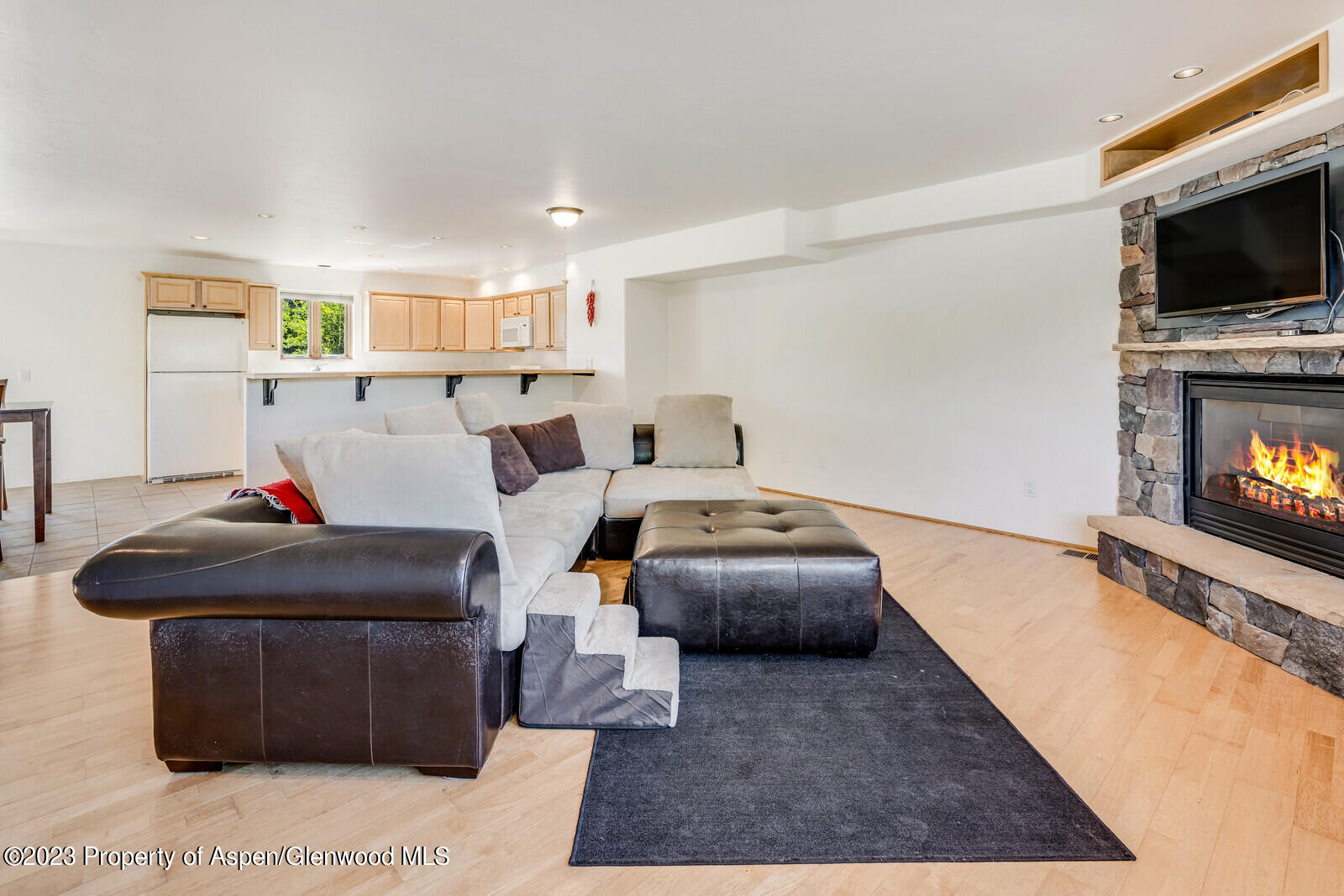62 N 8th Street Carbondale CO 81623
