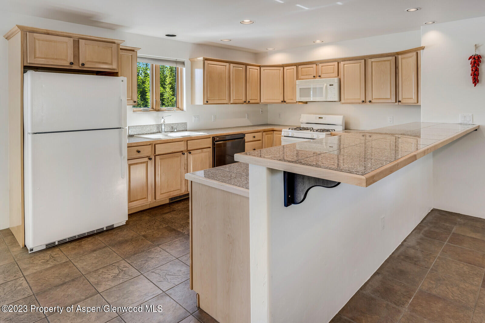 62 N 8th Street Carbondale CO 81623