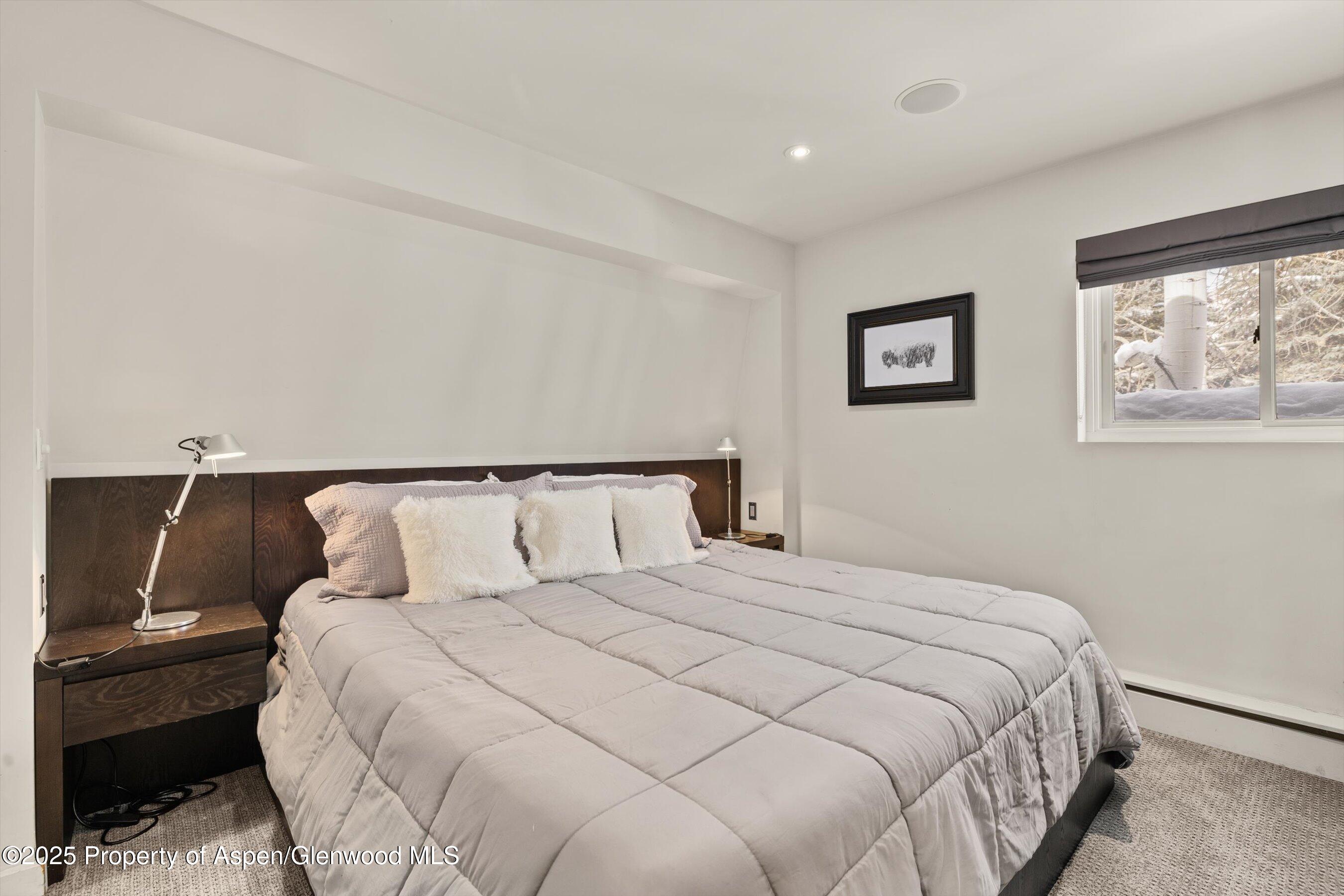 124 E Durant Avenue Aspen CO 81611