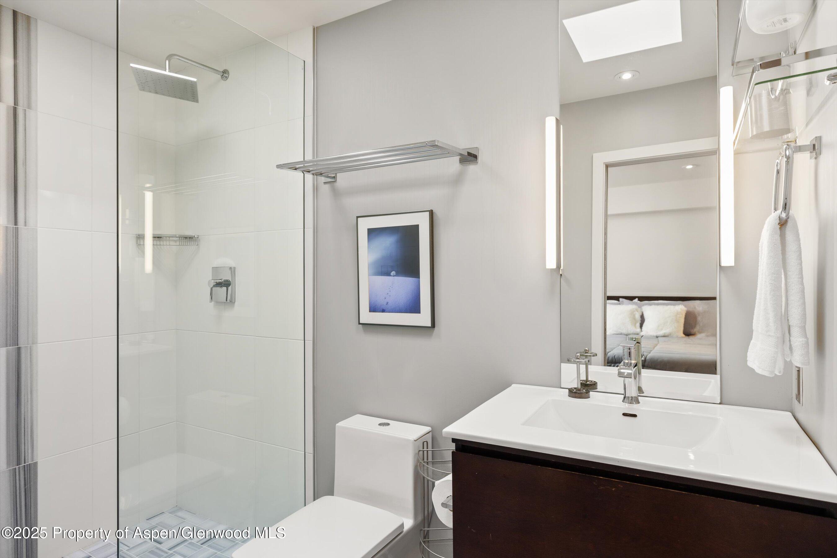 124 E Durant Avenue Aspen CO 81611