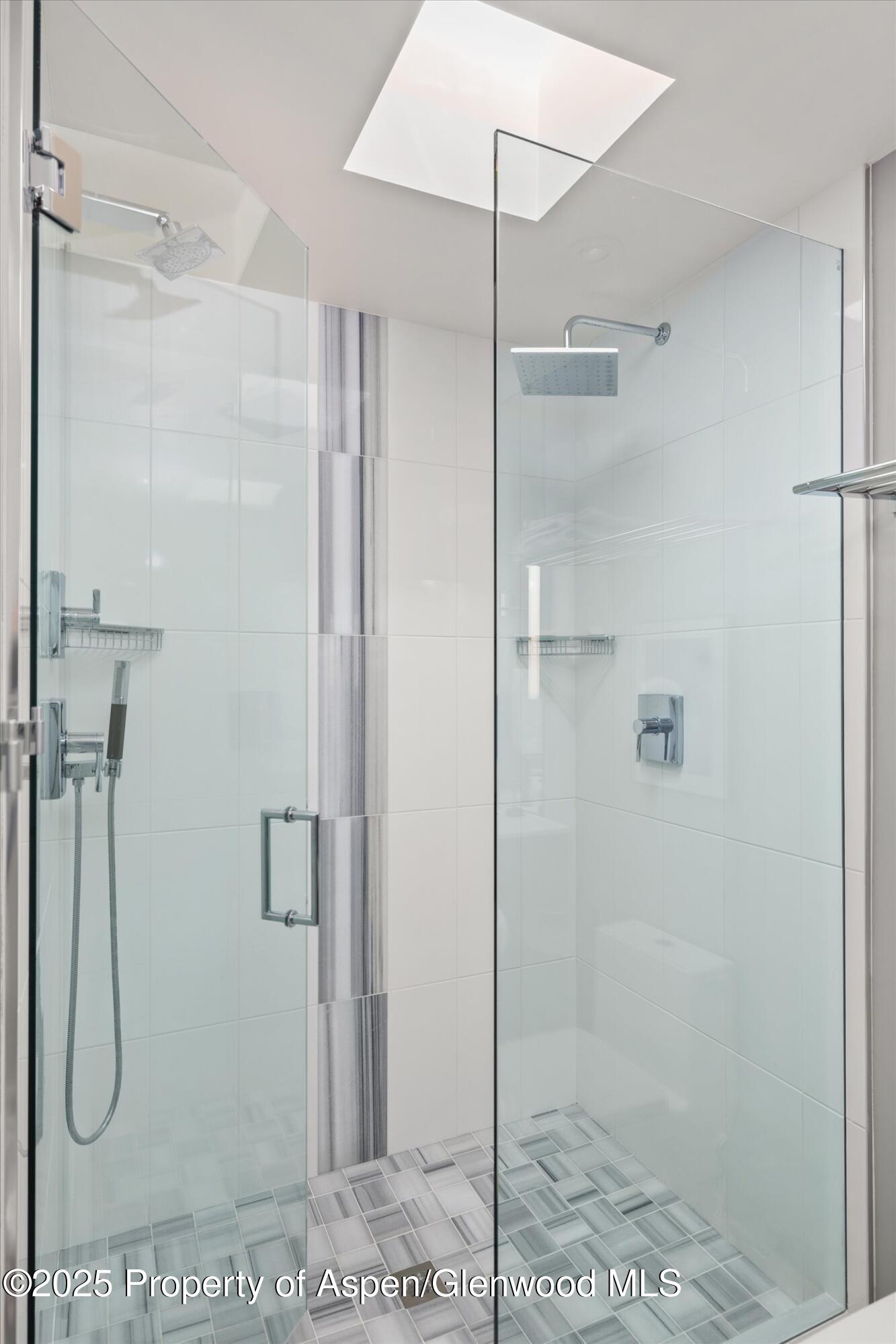 124 E Durant Avenue Aspen CO 81611