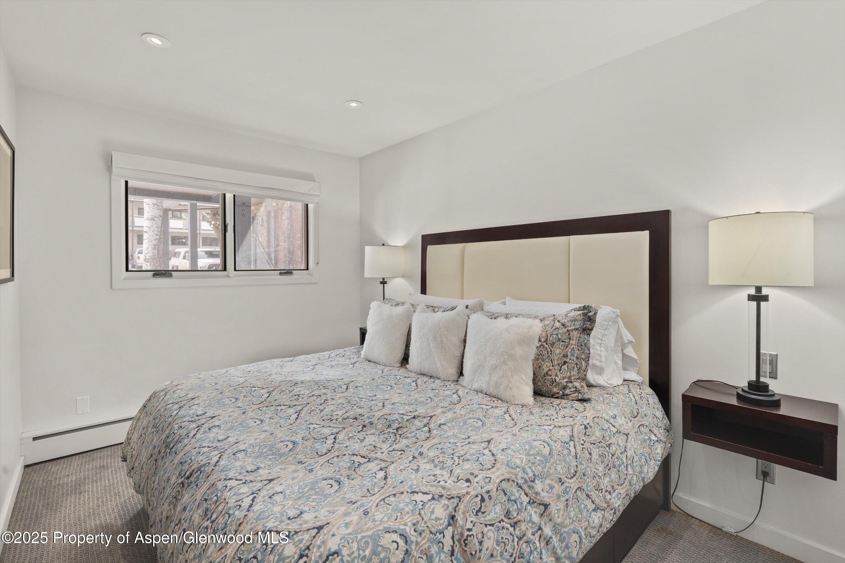 124 E Durant Avenue Aspen CO 81611