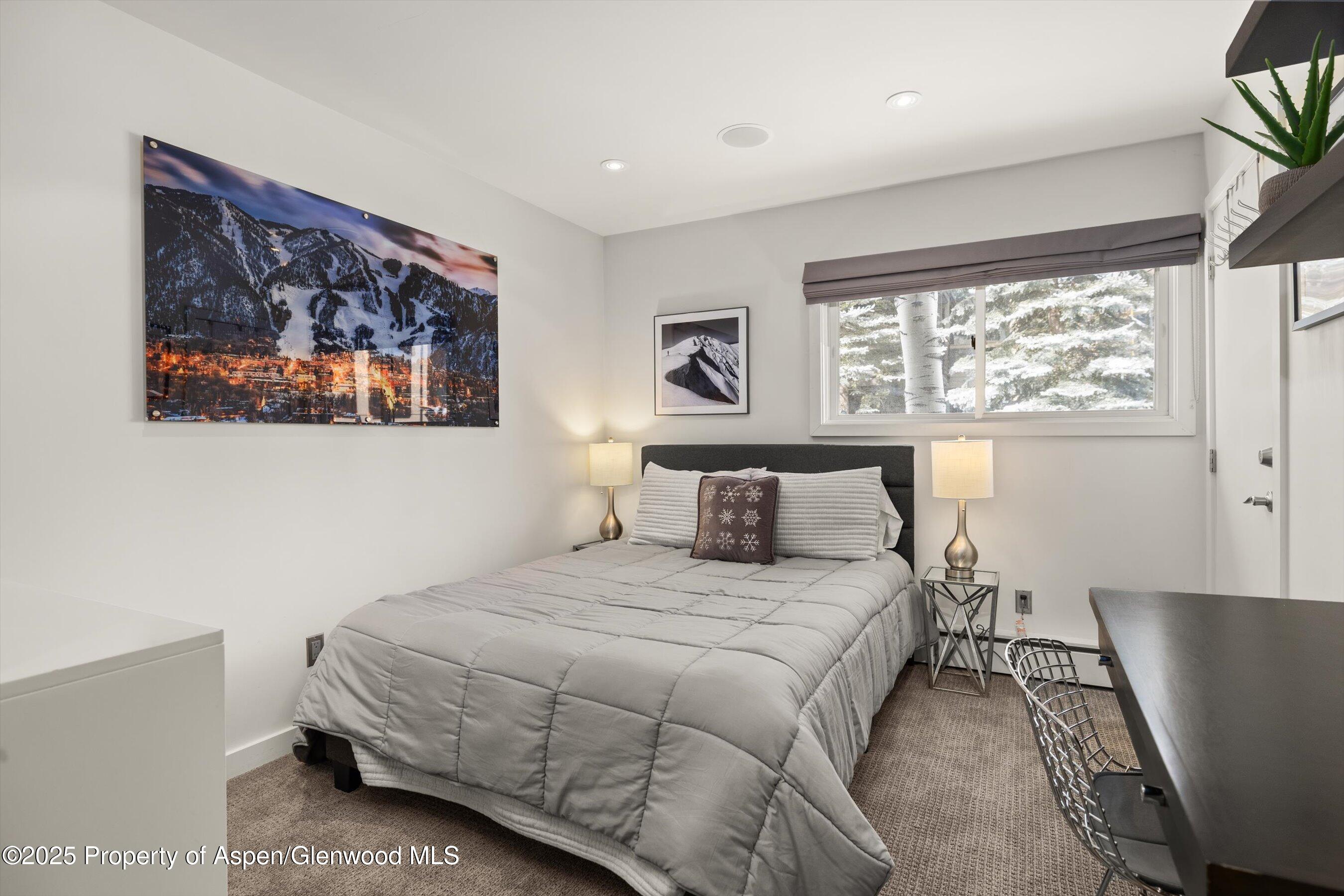 124 E Durant Avenue Aspen CO 81611