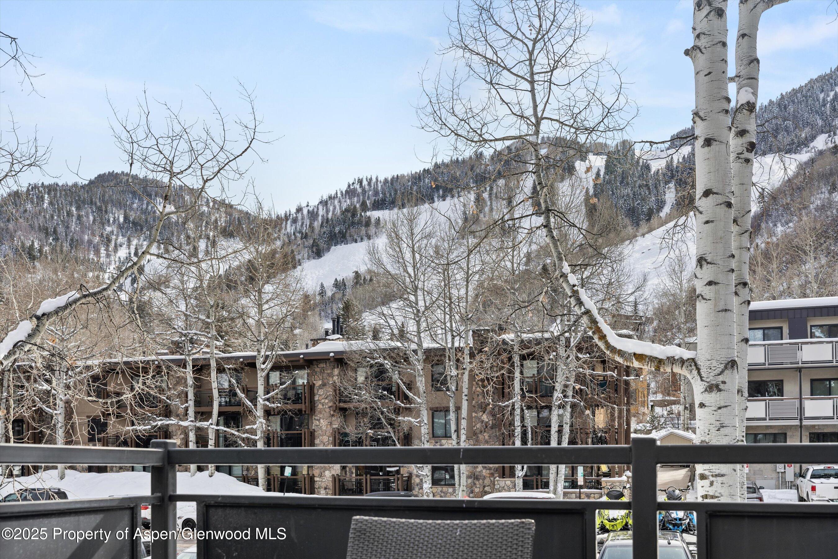 124 E Durant Avenue Aspen CO 81611