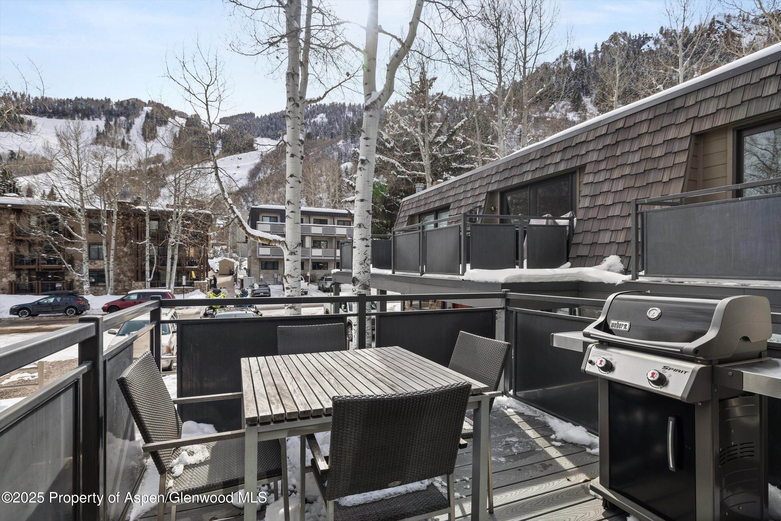 124 E Durant Avenue Aspen CO 81611