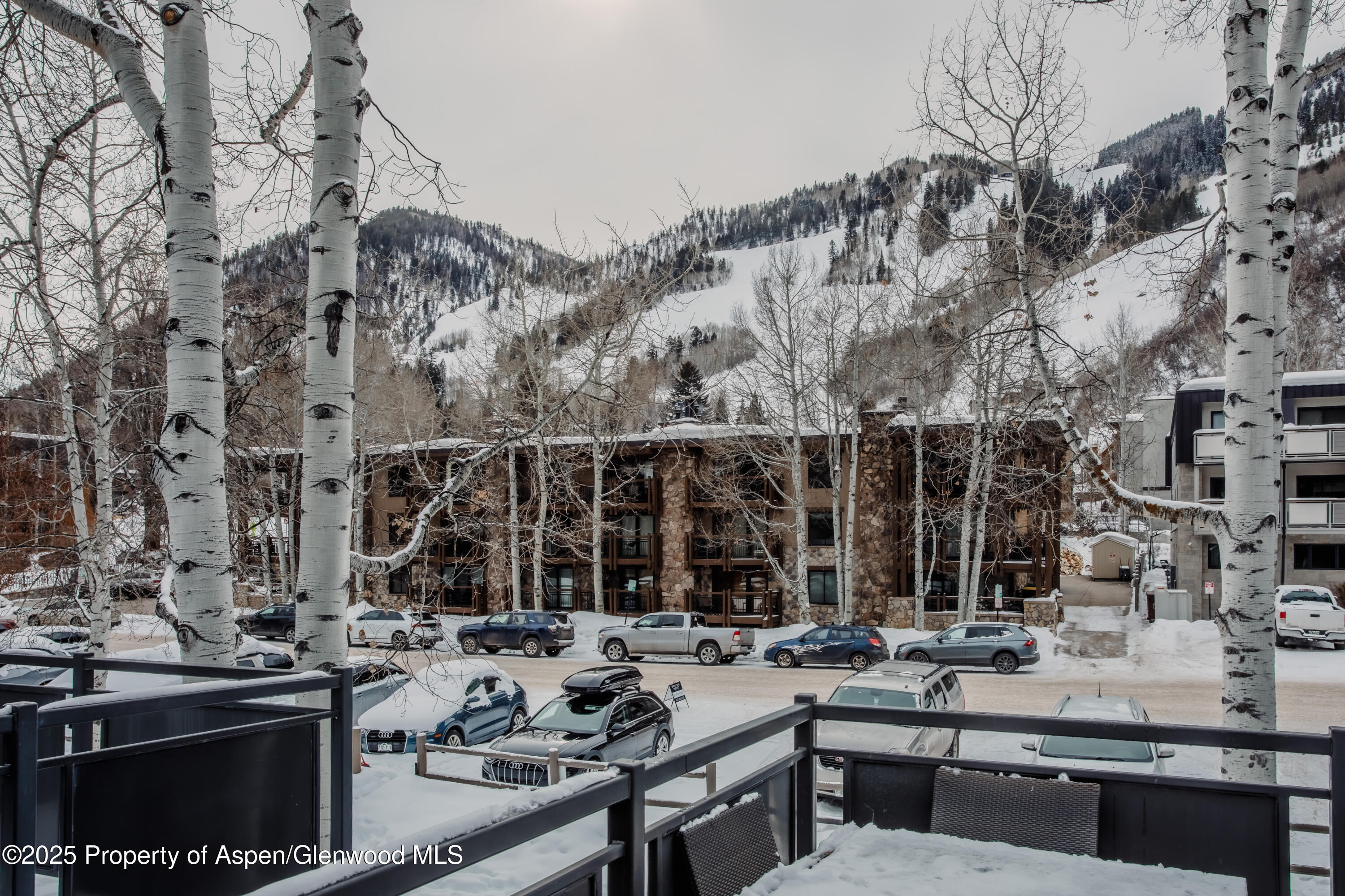 124 E Durant Avenue Aspen CO 81611