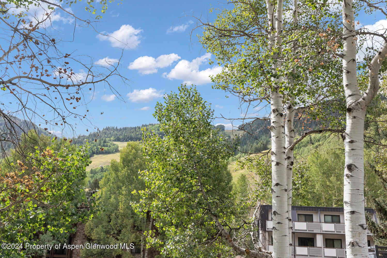 124 E Durant Avenue Aspen CO 81611