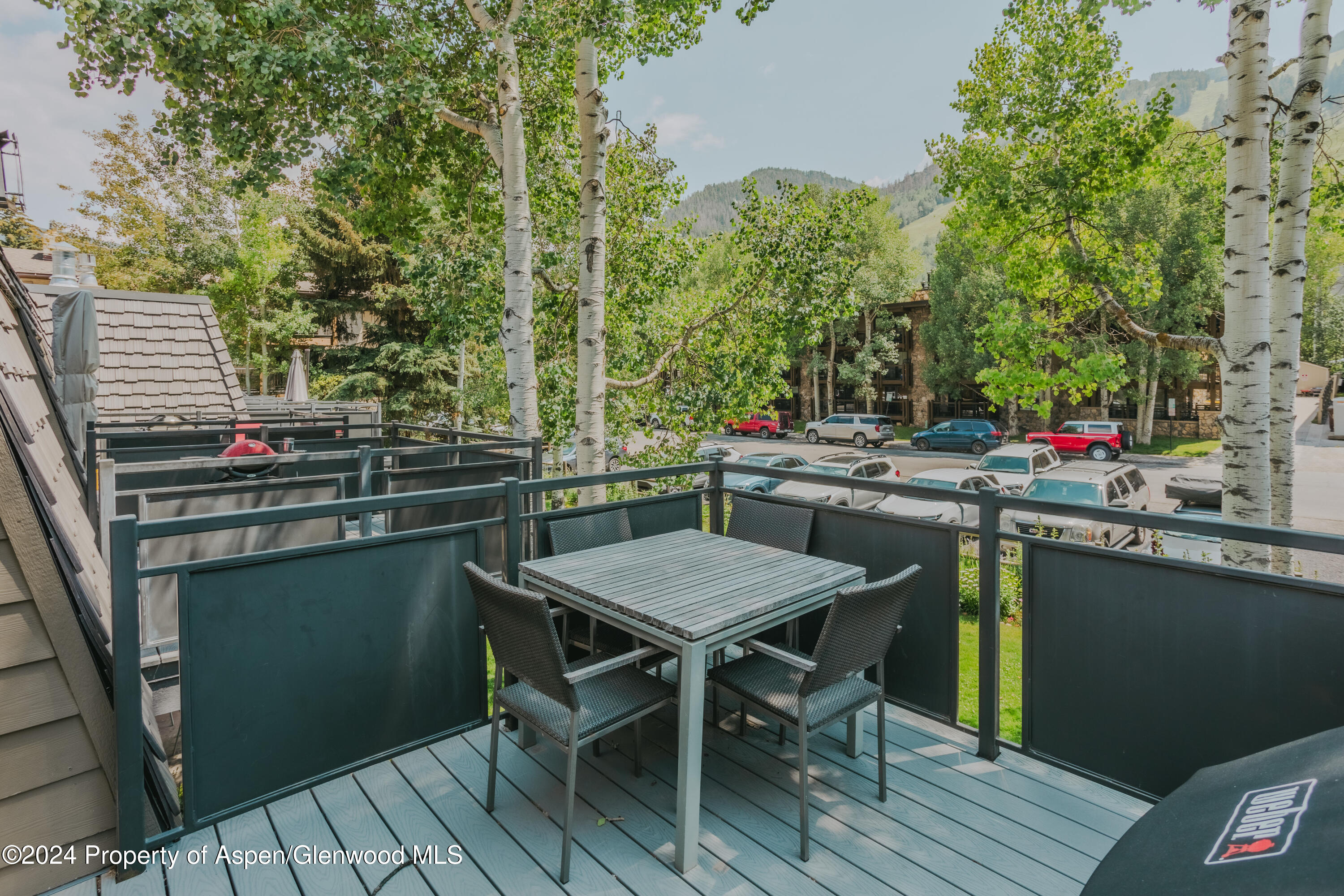 124 E Durant Avenue Aspen CO 81611