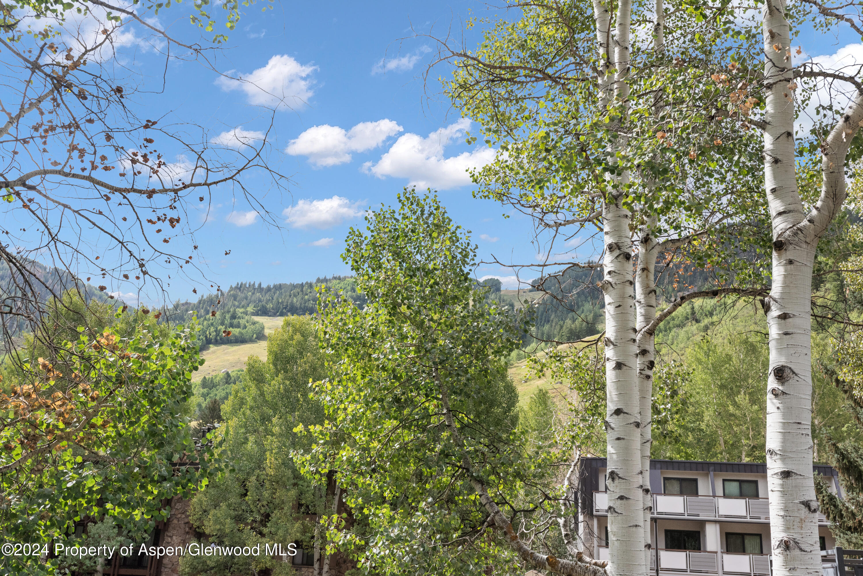 124 E Durant Avenue Aspen CO 81611