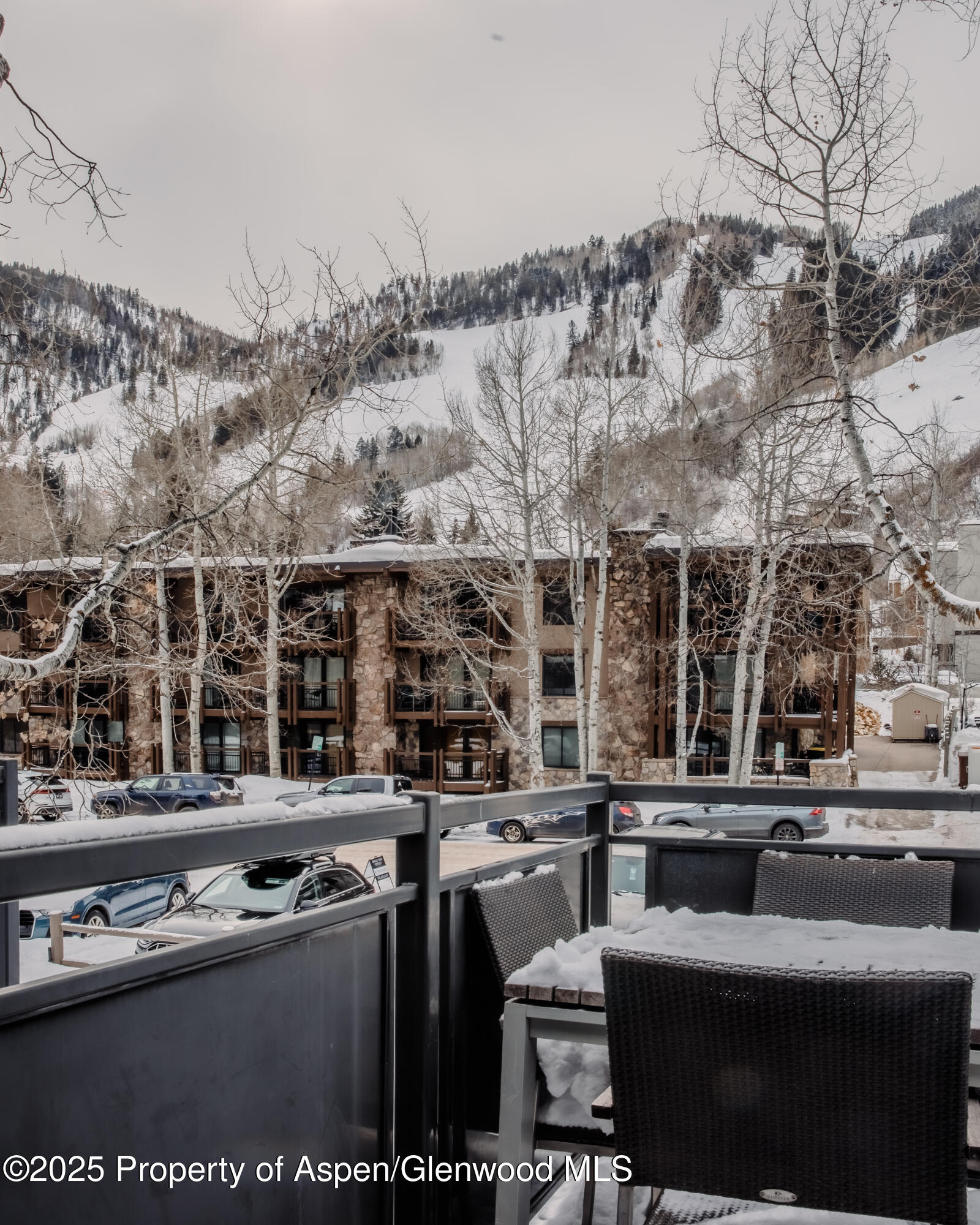 124 E Durant Avenue Aspen CO 81611